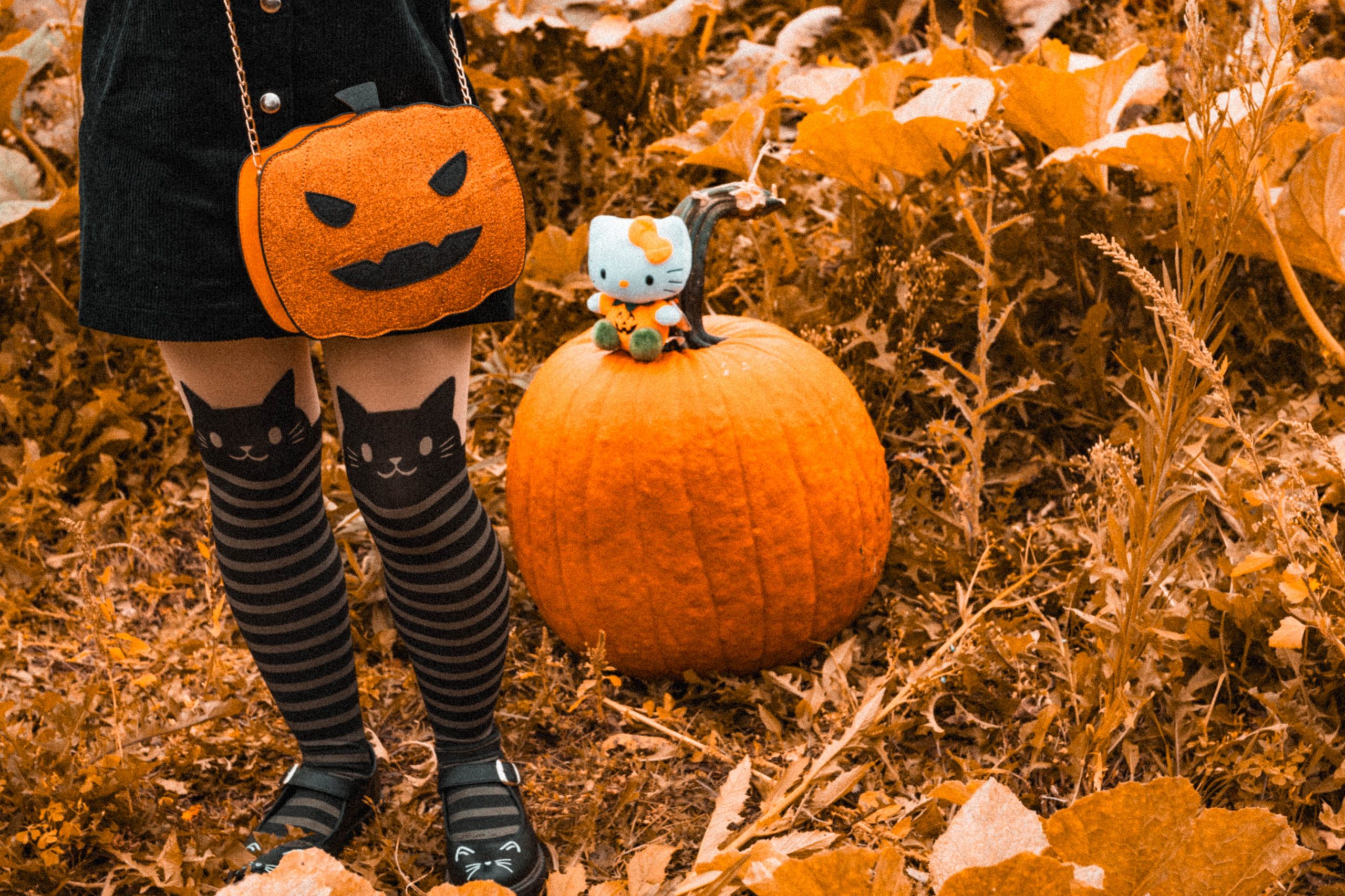 Child wearing Halloween costume with pumpkin purse-themed surrounded by autumn foliage.