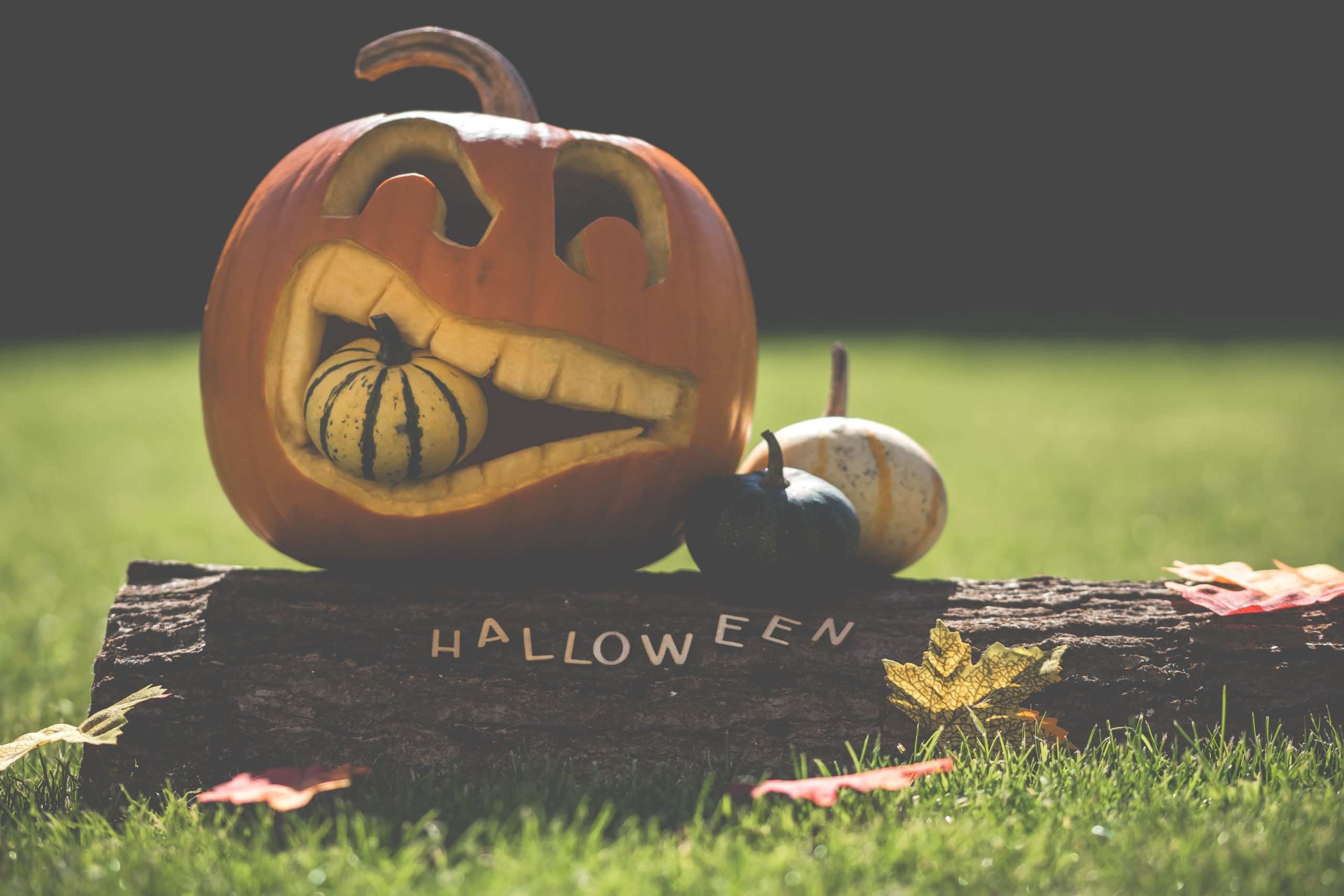 Close-up of a carved pumpkin with additional gourds on a log, celebrating Halloween outdoors.