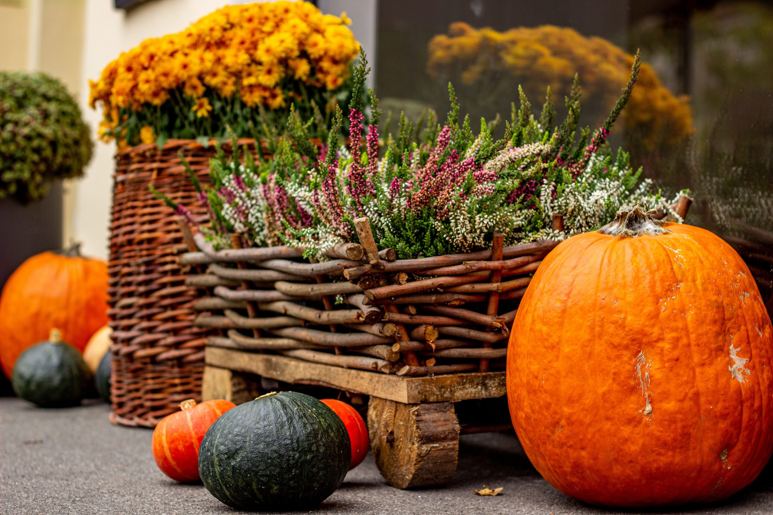 Colorful autumn arrangement featuring pumpkins and heather flowers in a wicker basket.
