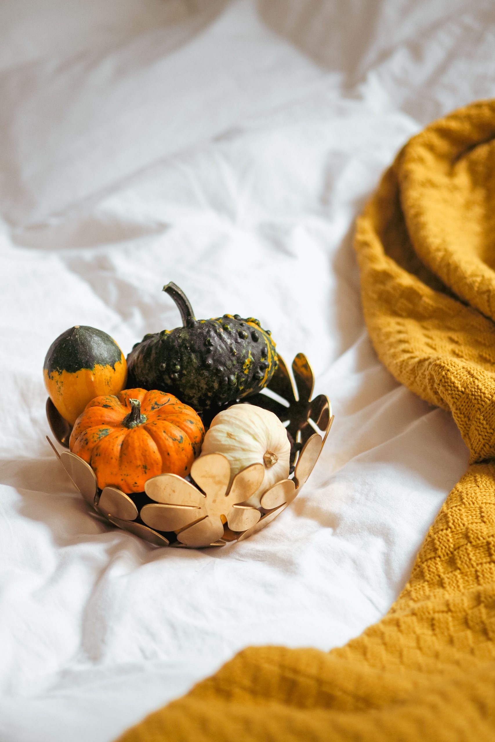 Colorful decorative pumpkins resting on a cozy blanket, perfect for autumn decor and Halloween themes.