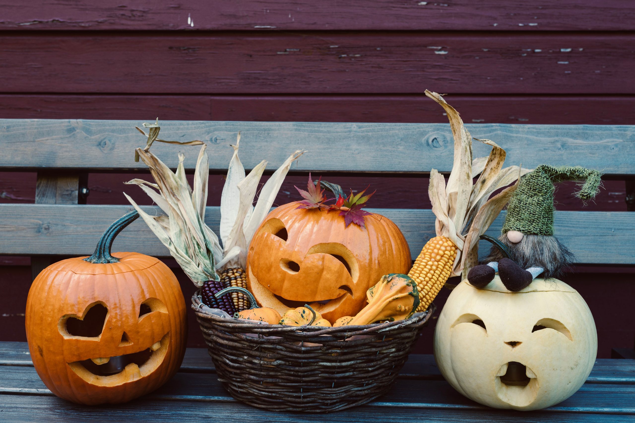 Colorful Halloween pumpkins with corn and decor on a rustic wooden bench, perfect for fall celebrations.