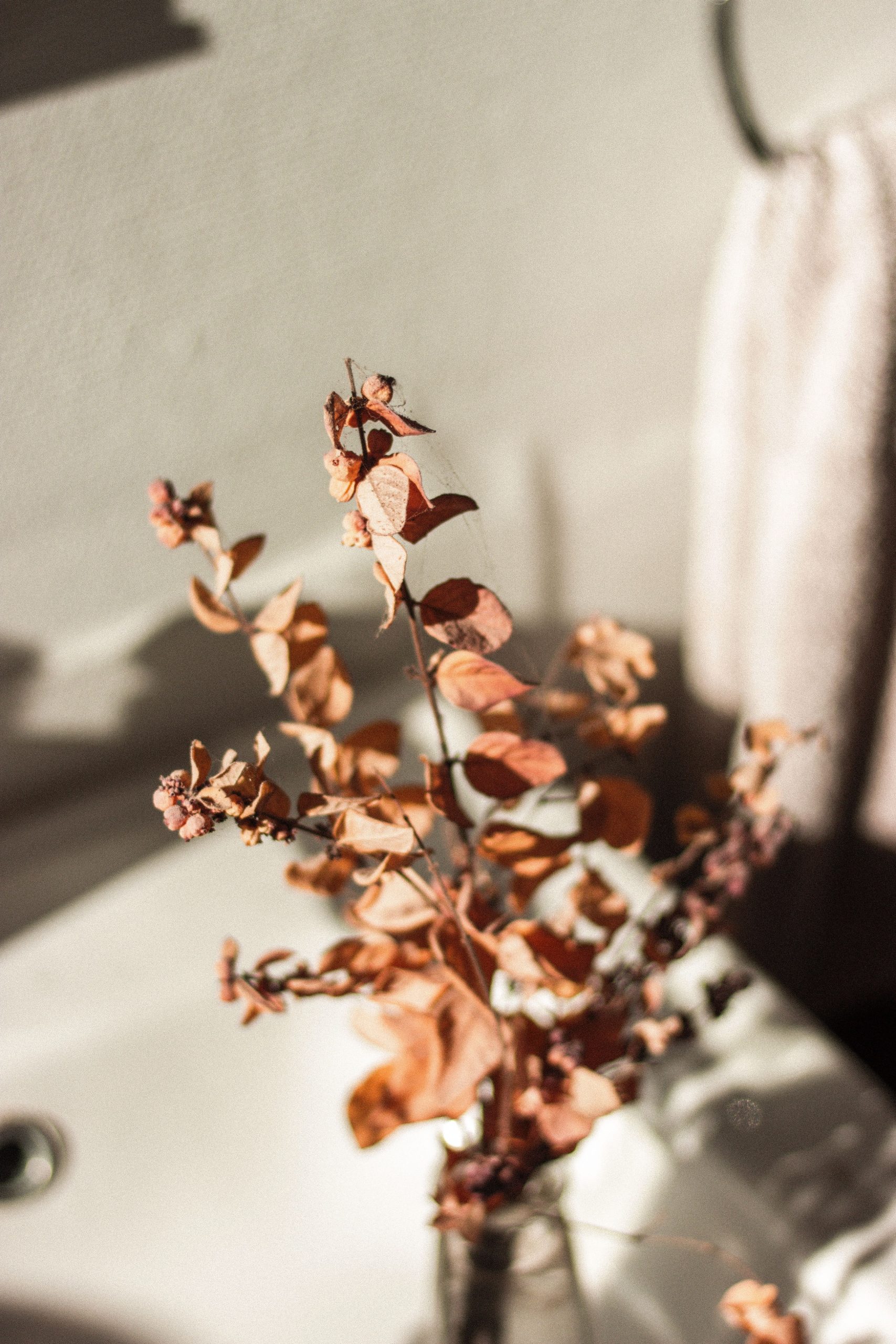 Composition of withered twigs with dry petals and leaves of flower in glass bottle on white ceramic sink in bathroom