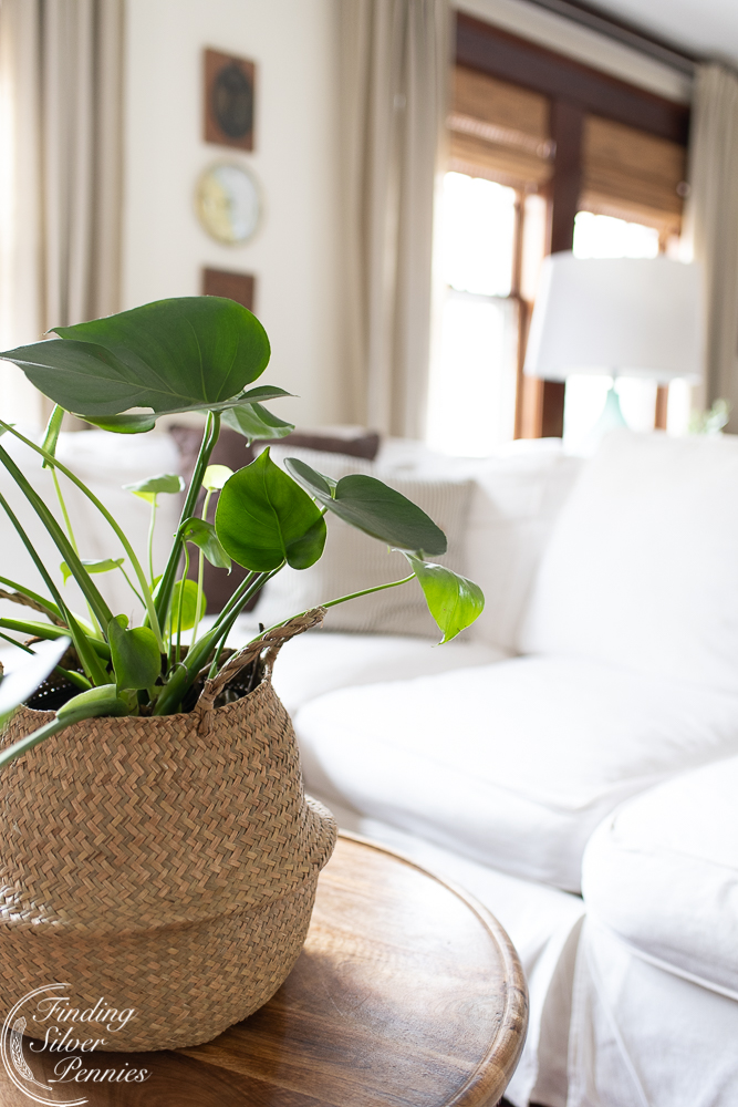 Cozy Living: 8 Ideas for Keeping Your Home Cozy This Winter - Finding Silver Pennies