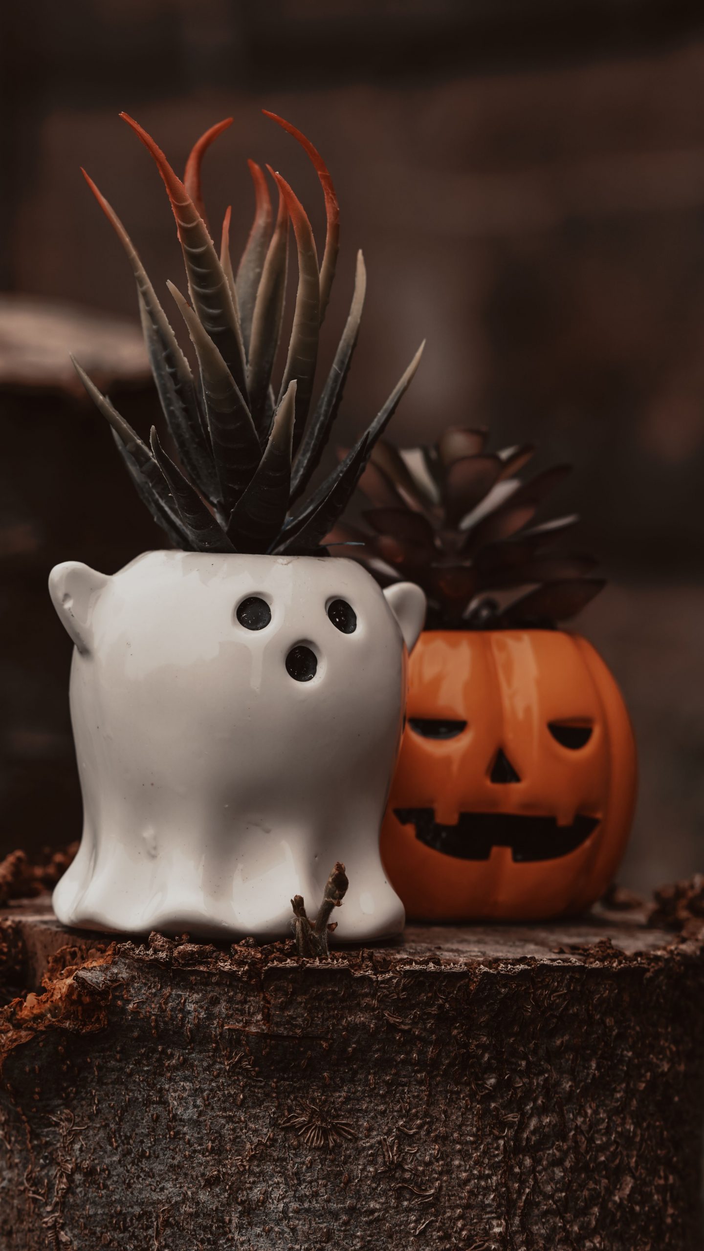 Cute ceramic ghost and pumpkin pots with succulents, perfect for Halloween decor.