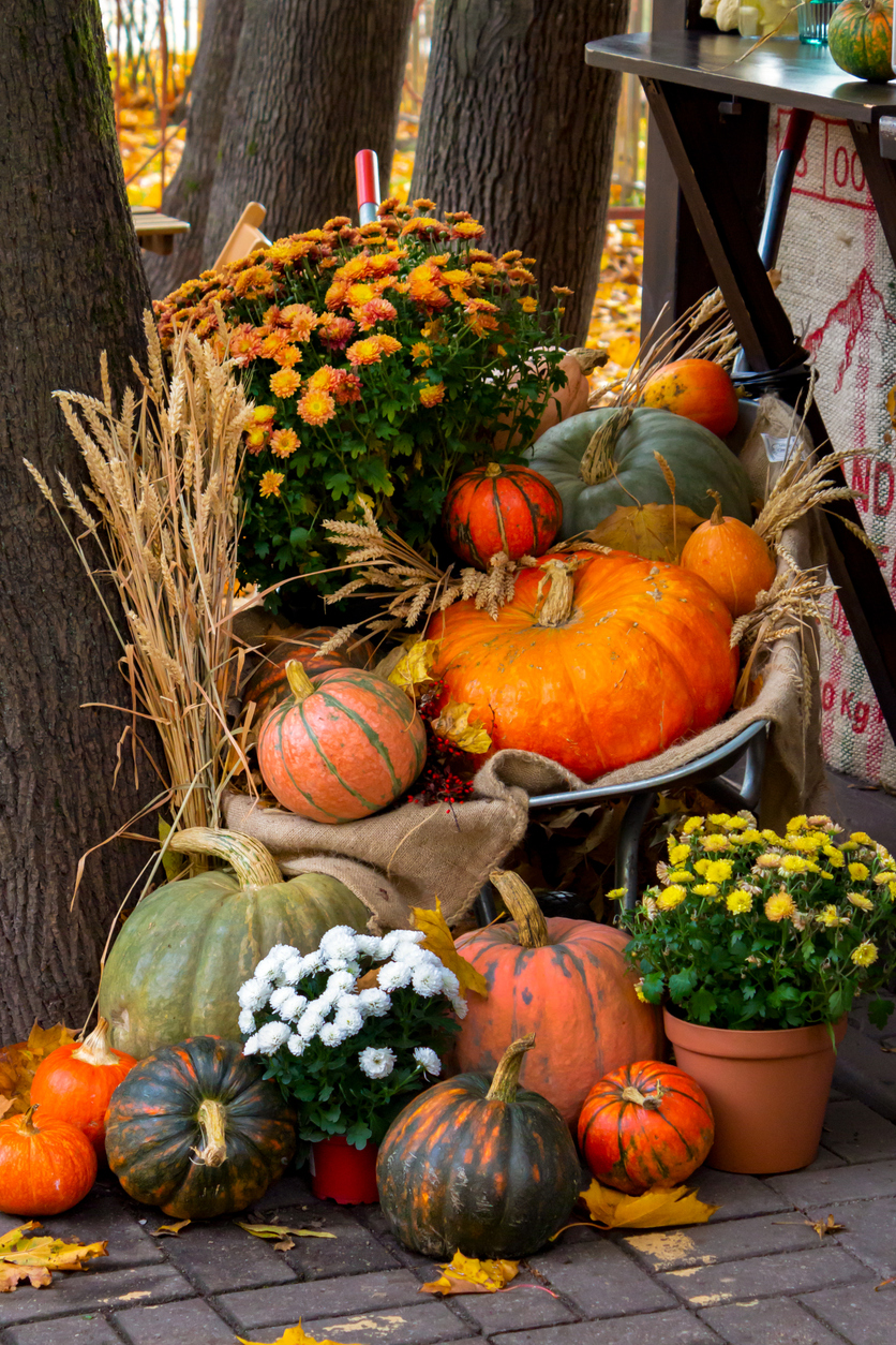 Decorating with Pumpkins, Gourds, and Cornstalks | Cropley's Garden Center