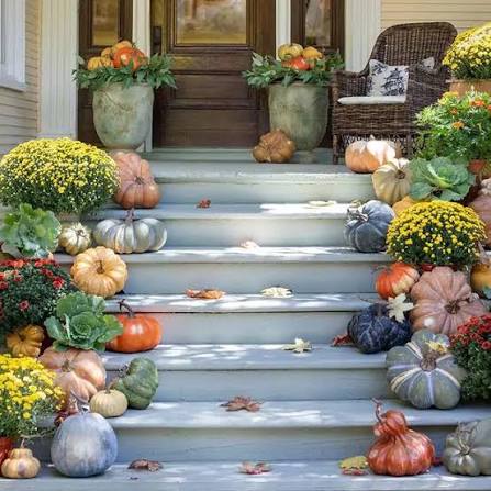 Decorative Flower Pumpkins Dried Flower Pumpkin Arrangment Crazy Daisies
