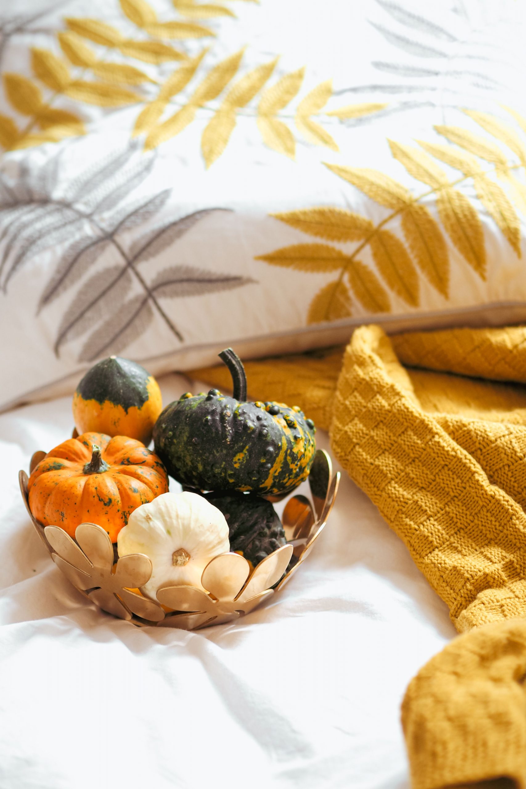 Decorative gourds in a bowl with autumn-themed bedding and knit blanket, creating a warm fall atmosphere.