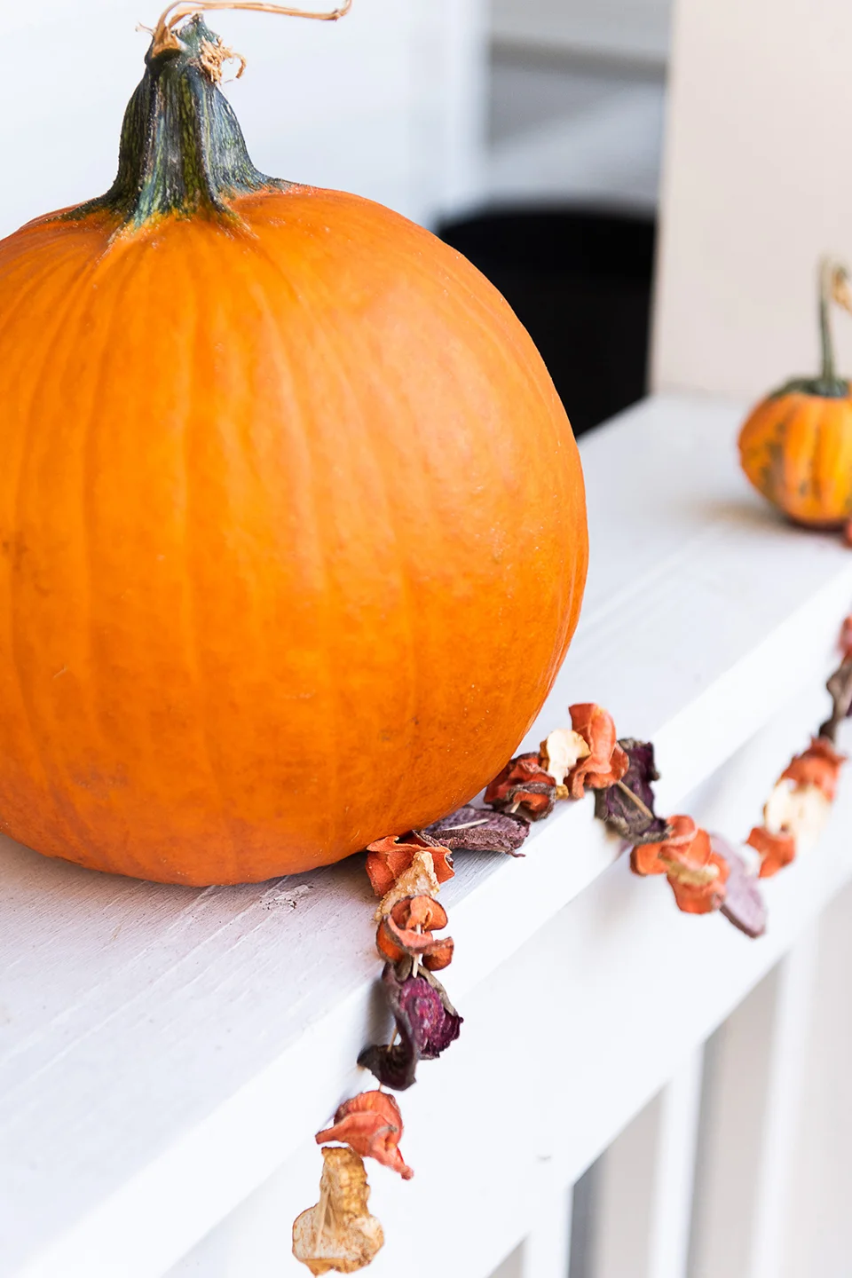 DIY Fall Garland Made From Root Vegetables — Compost and Cava