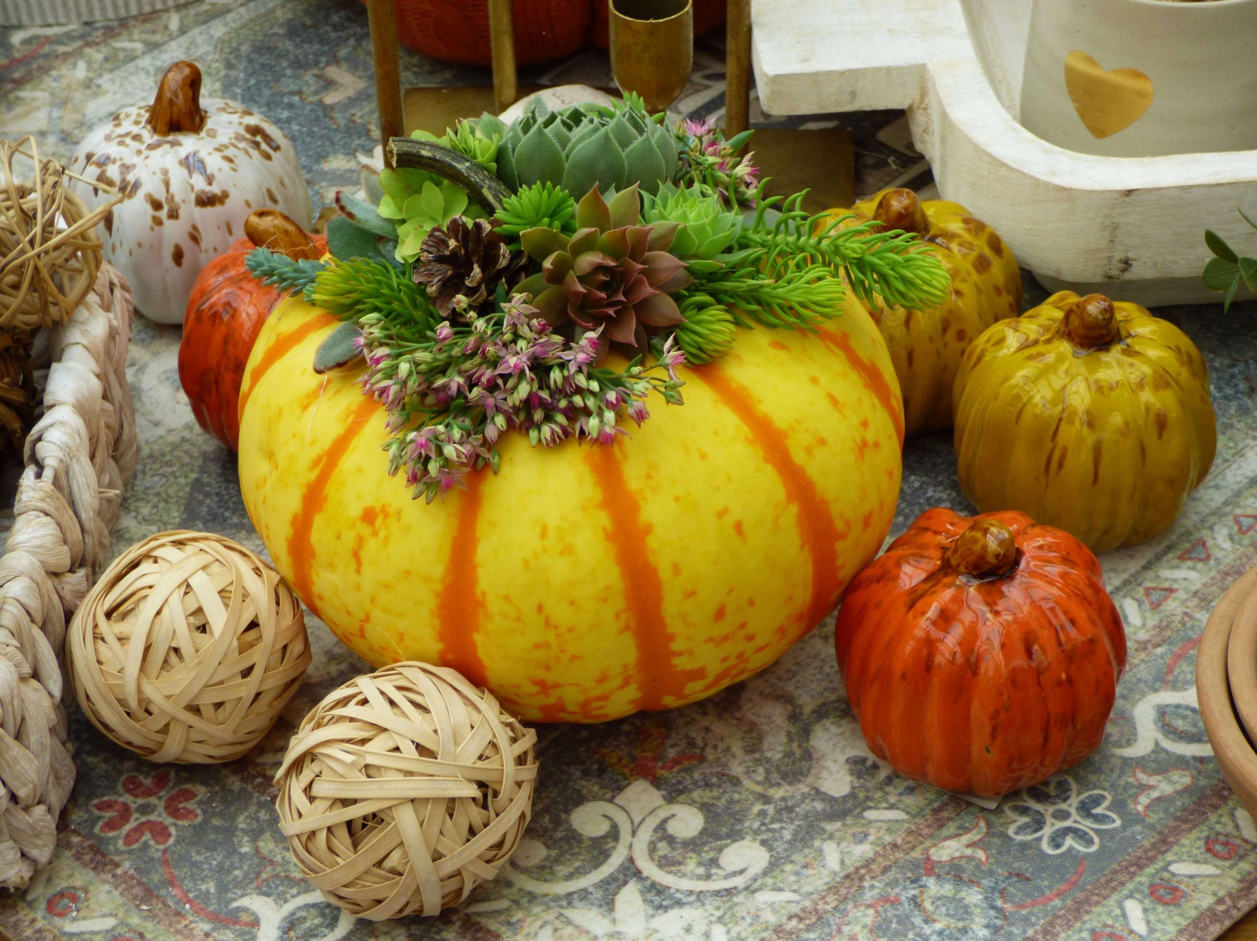 DIY Succulent Pumpkin Décor – Amsterdam Garden Centre