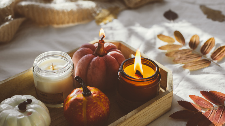 Dollar Tree's Popular Fall Plates Are Giving A High End Look On A Serious Budget