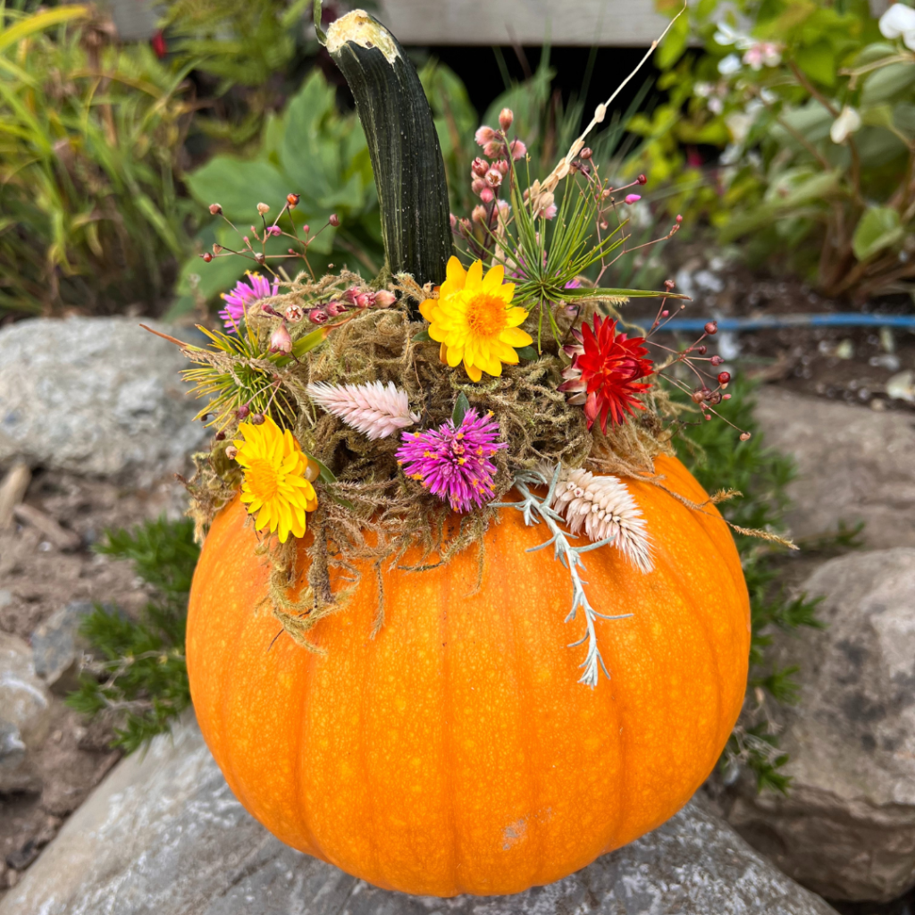 Dried Autumn Flowers For Pumpkin How To Make Pressed Flower Pumpkins: No-Carve Pumpkin Decorating Idea
