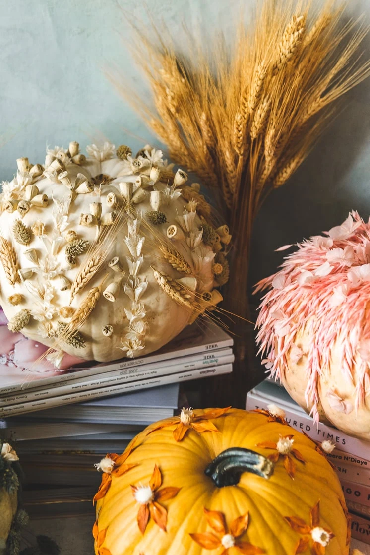 Dried Flower Pumpkins - Terrain (14 of 24) - The House That Lars Built
