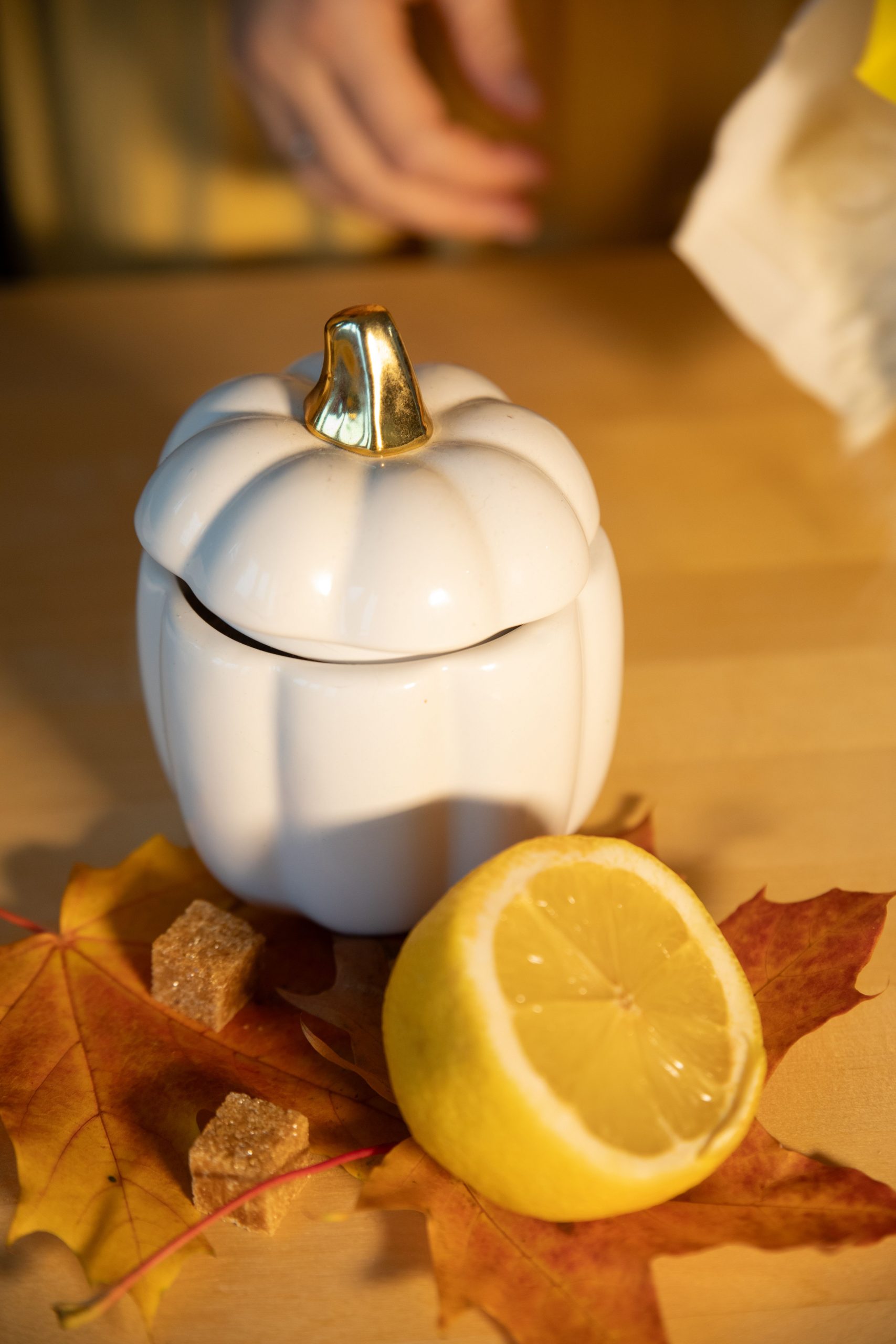 Elegant autumn-themed still life featuring a ceramic pumpkin and lemon on a wooden table.