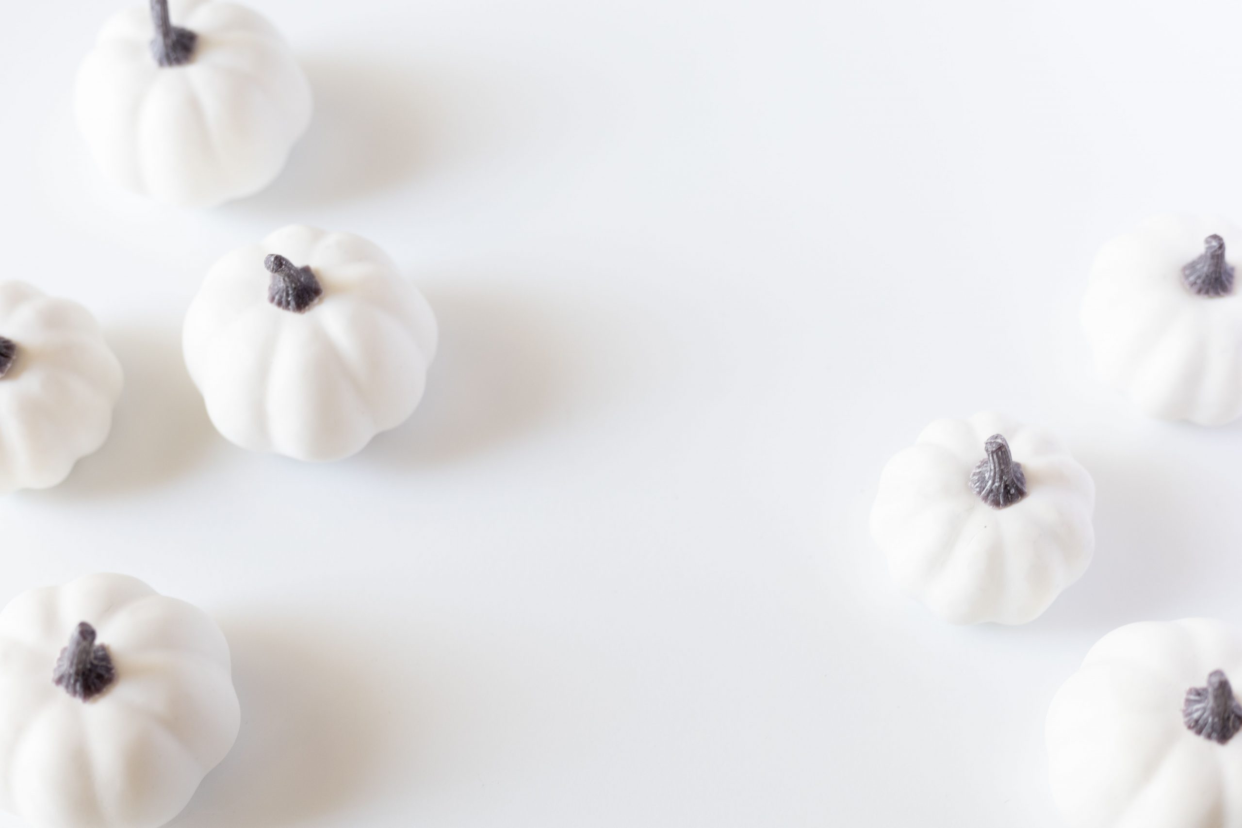 Elegant display of white pumpkins on a soft white background, perfect for fall-themed designs.