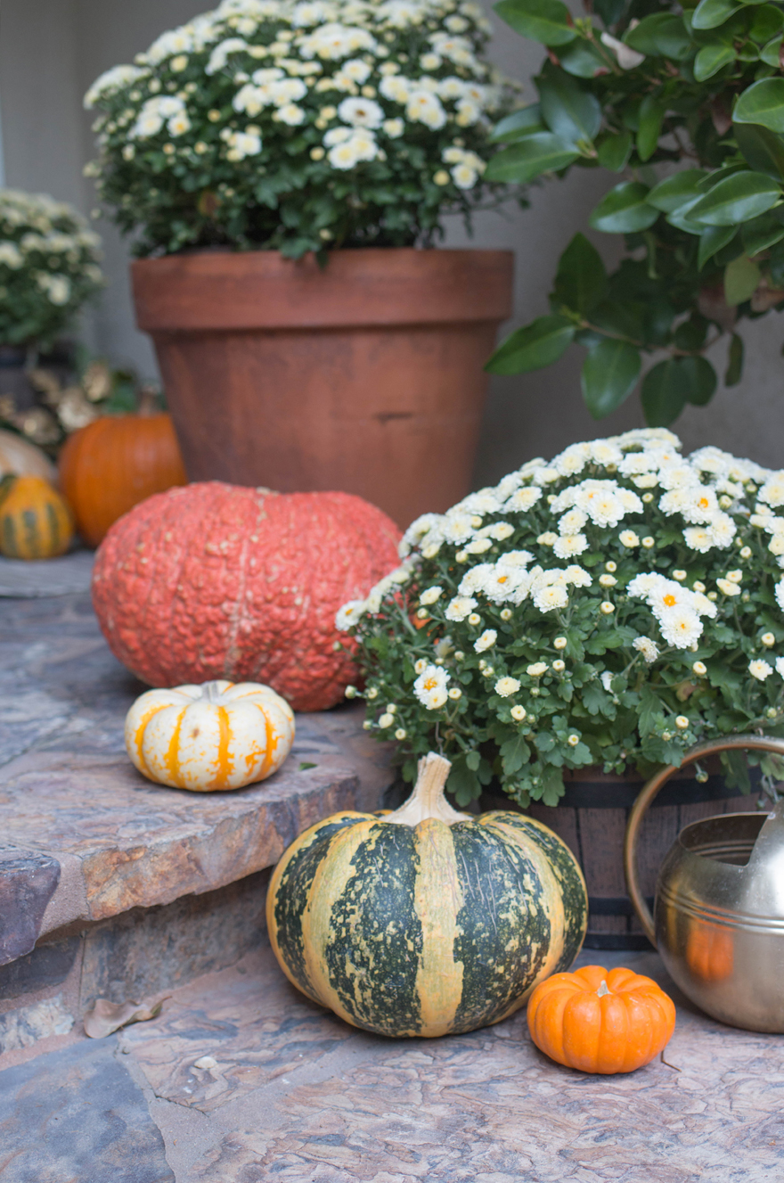Fall Front Porch Decor 2020
