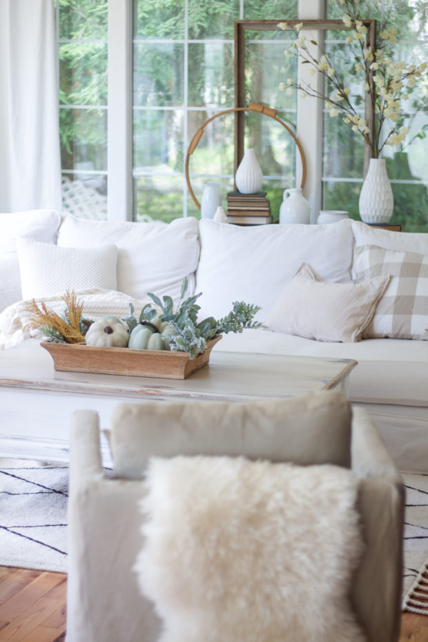 Fall Inspiration - zevy joy