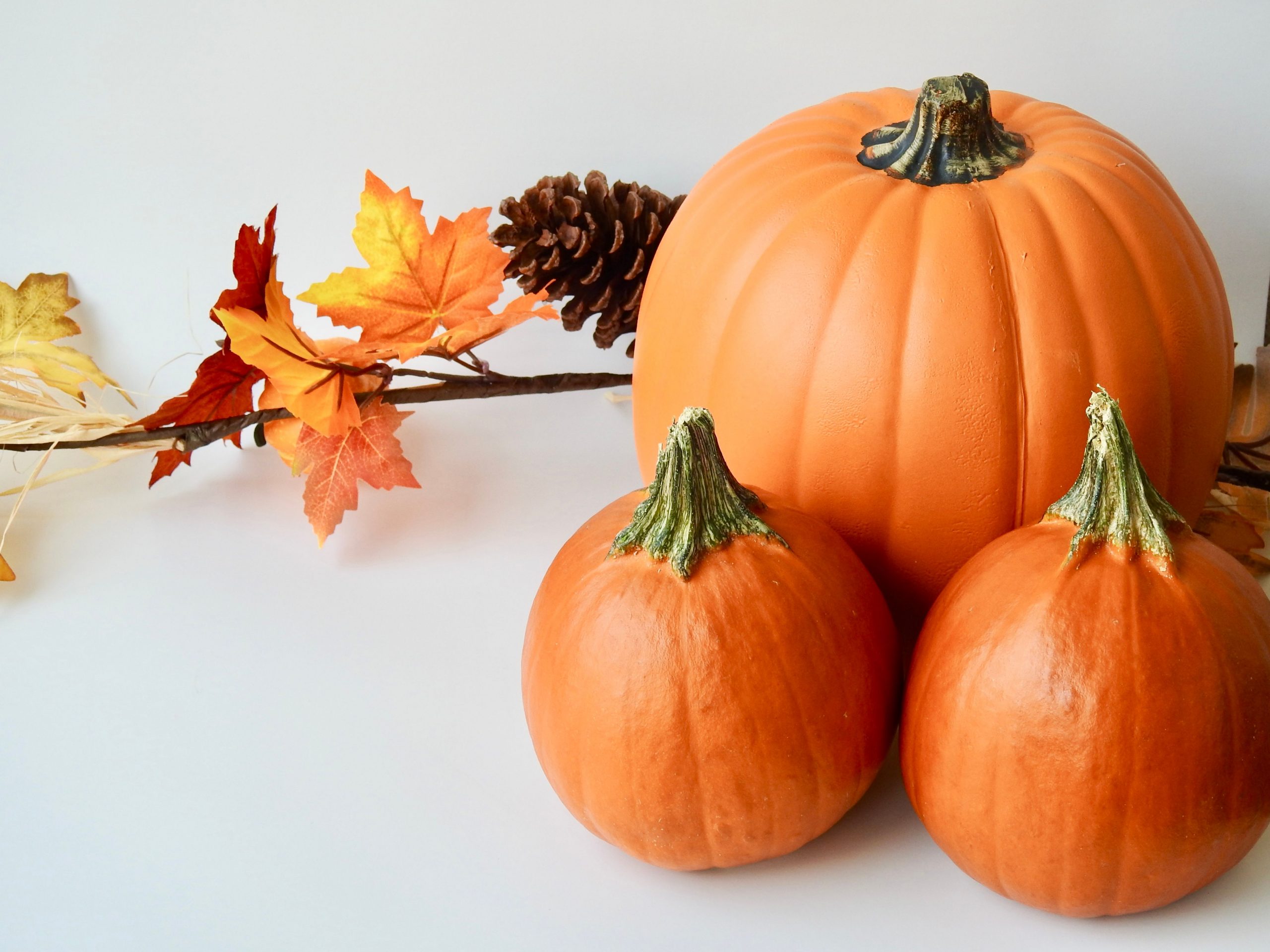 Festive fall arrangement featuring pumpkins, autumn leaves, and pine cones for seasonal decoration.