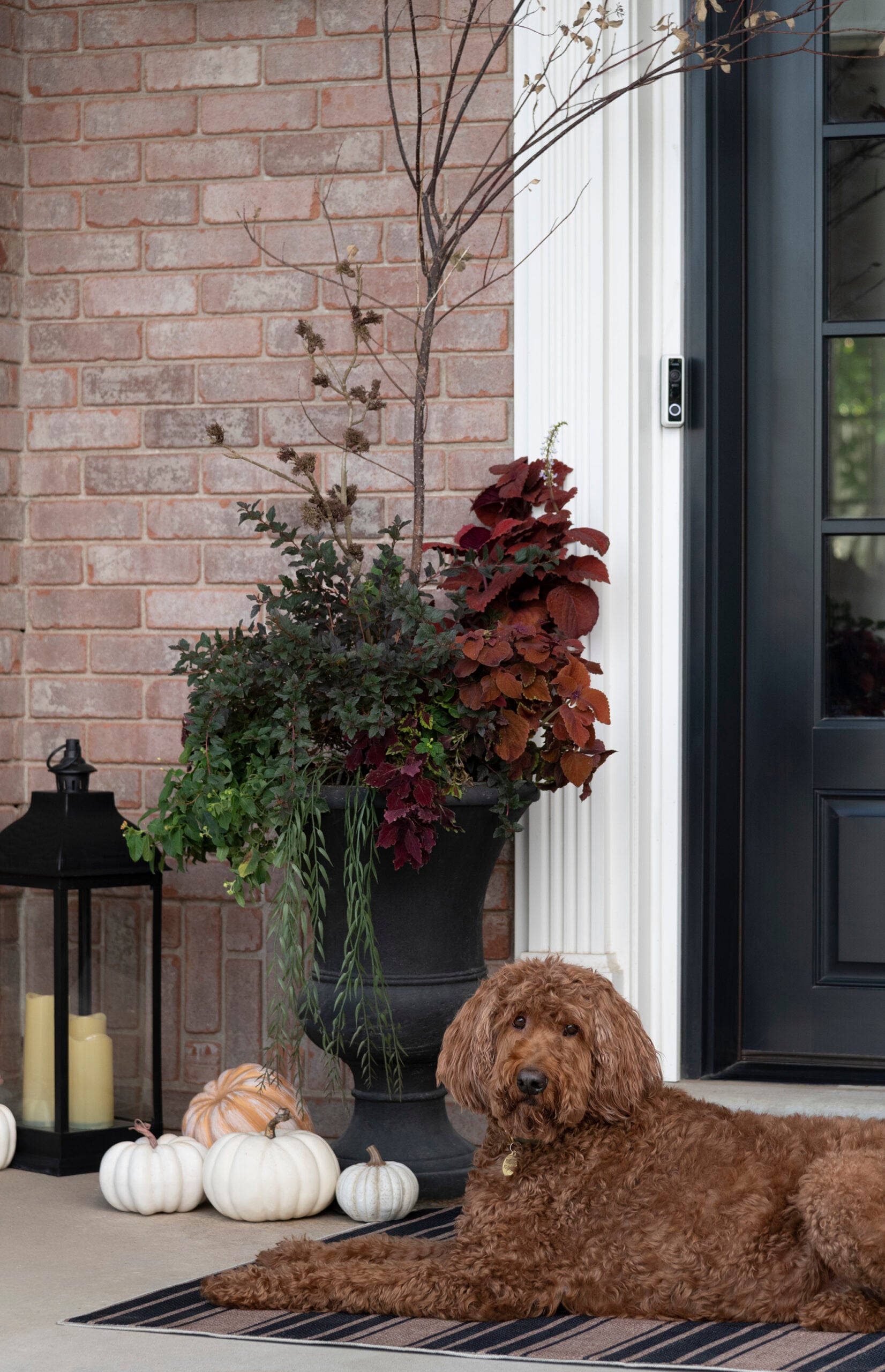 How to Style a Fall Porch- Without Mums
