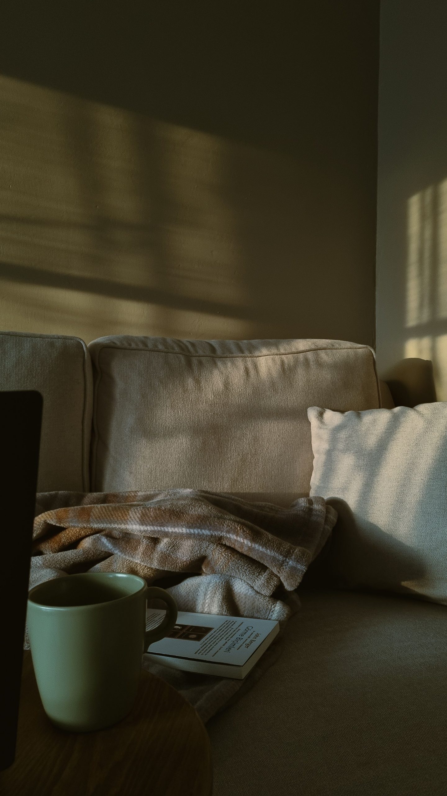 Inviting living room scene with a blanket, coffee cup, and book. Soft sunlight creates a warm ambiance.