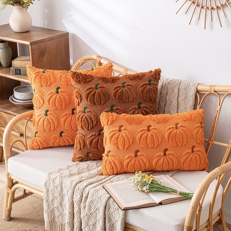 Living Room Autumn Outdoor Pillows 20+ Fall Living Room Decor Ideas For The Cozy Months