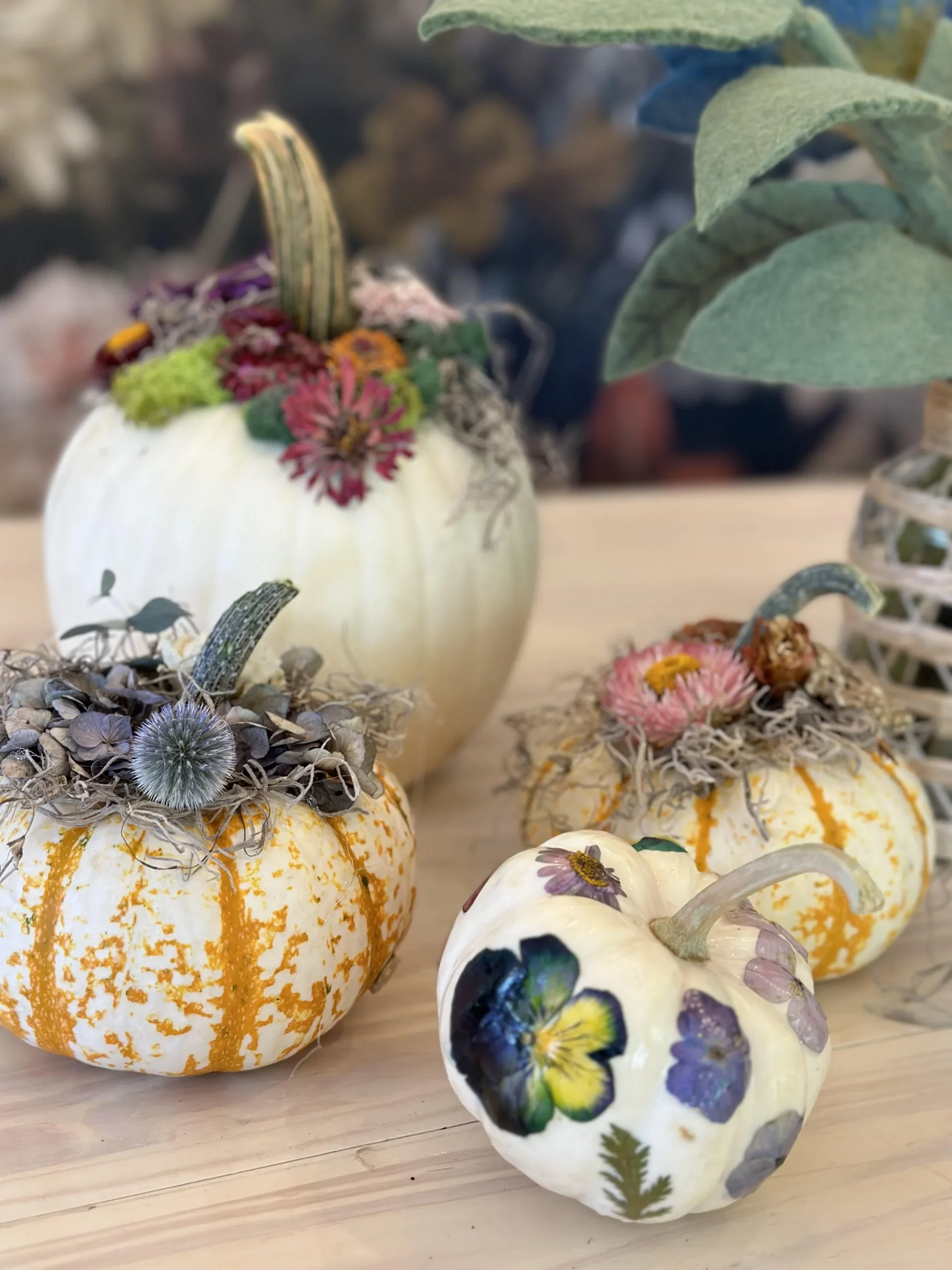 Pressed and Dried Flower Pumpkins and Christmas Tags — My Garden Blooms