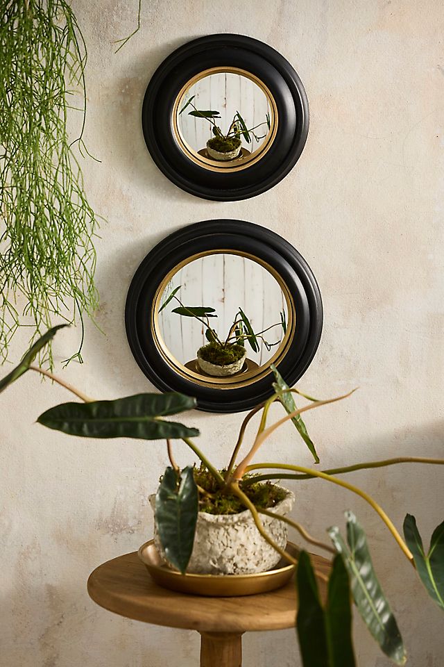 Round Convex Mirror