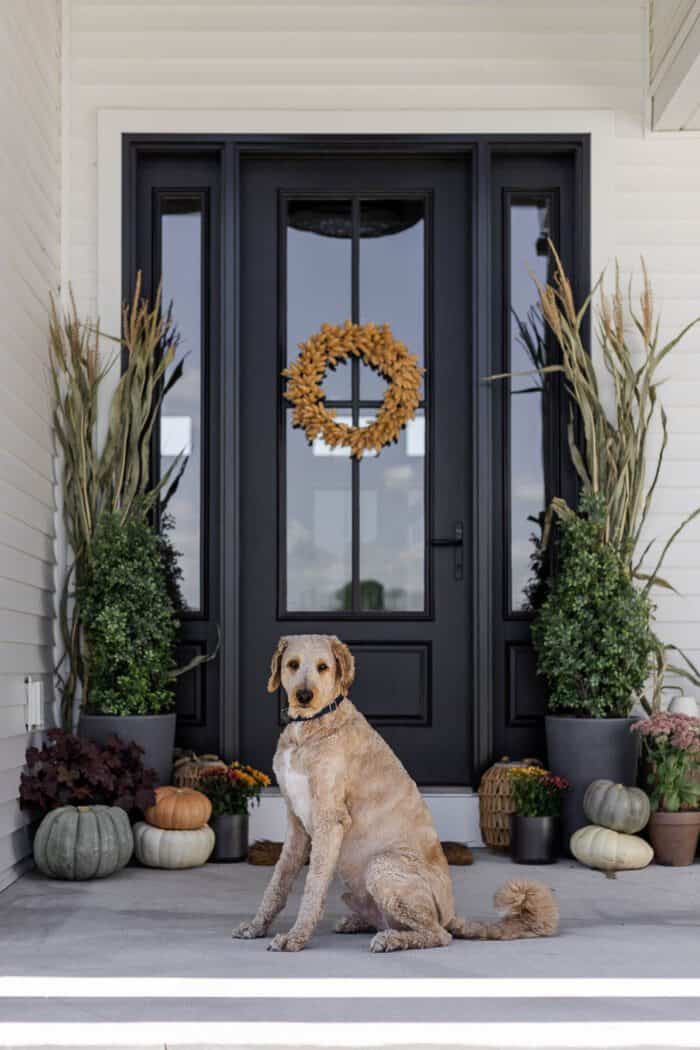 Simple Modern Neutral Fall Porch Decor Ideas - The Crafty Blog Stalker