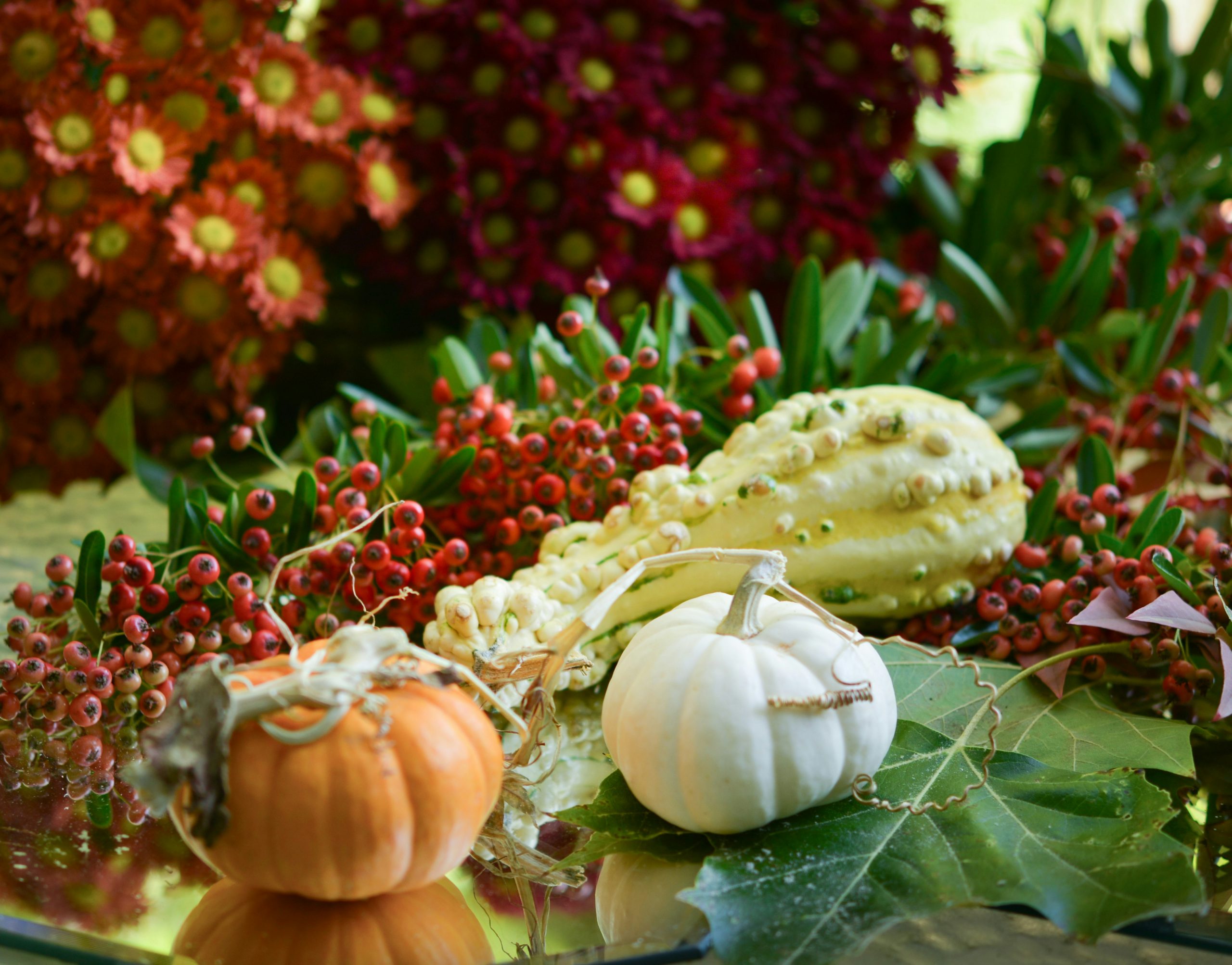 Still Life,pumpkins,gourds,vegetables,squash,fall,autumn,berries.