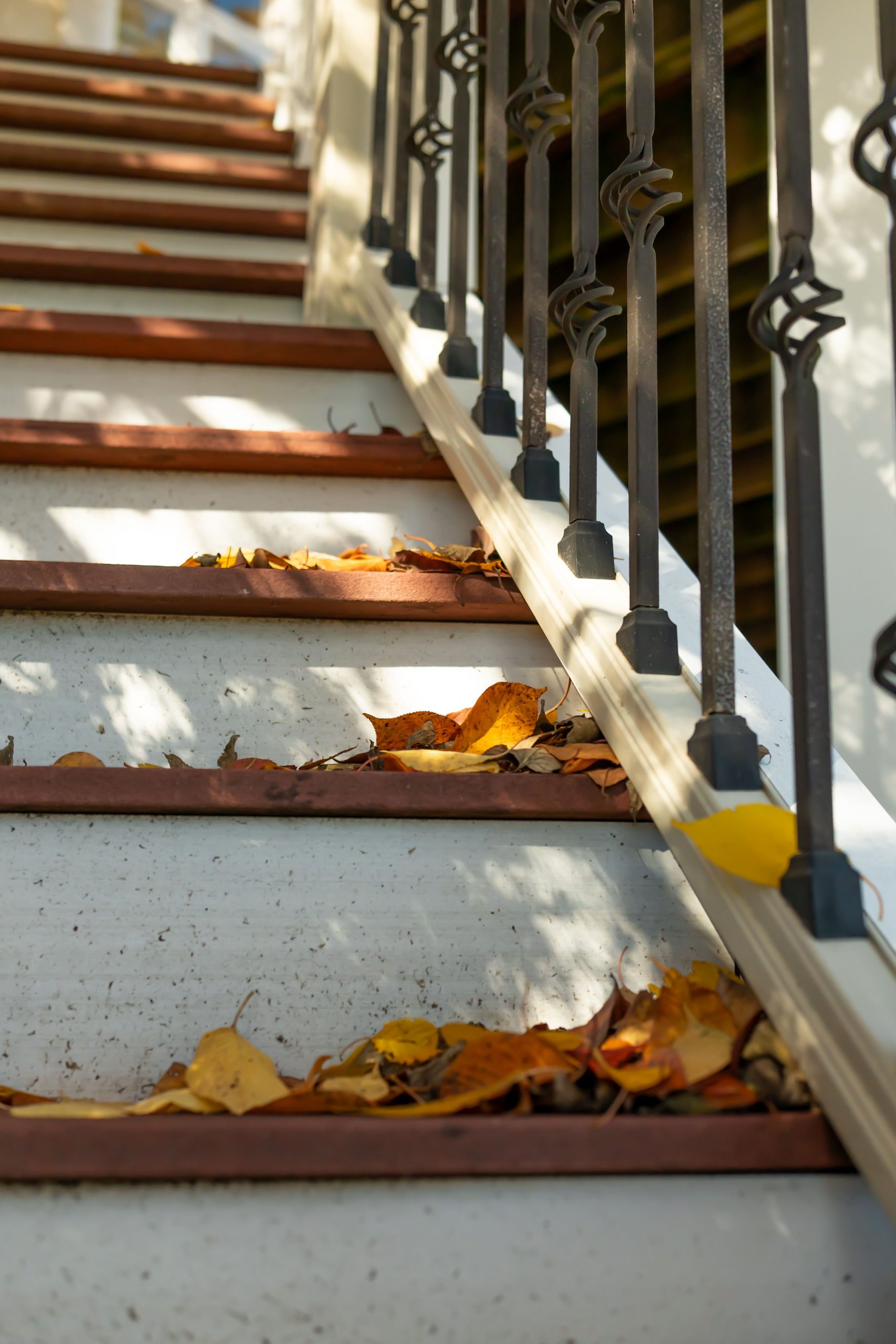 Sunlit autumn leaves scatter on wooden stairs with decorative metal railing, symbolizing seasonal transition.
