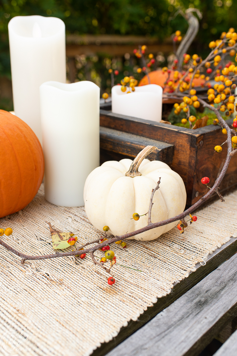 Thanksgiving Decor - Finding Silver Pennies