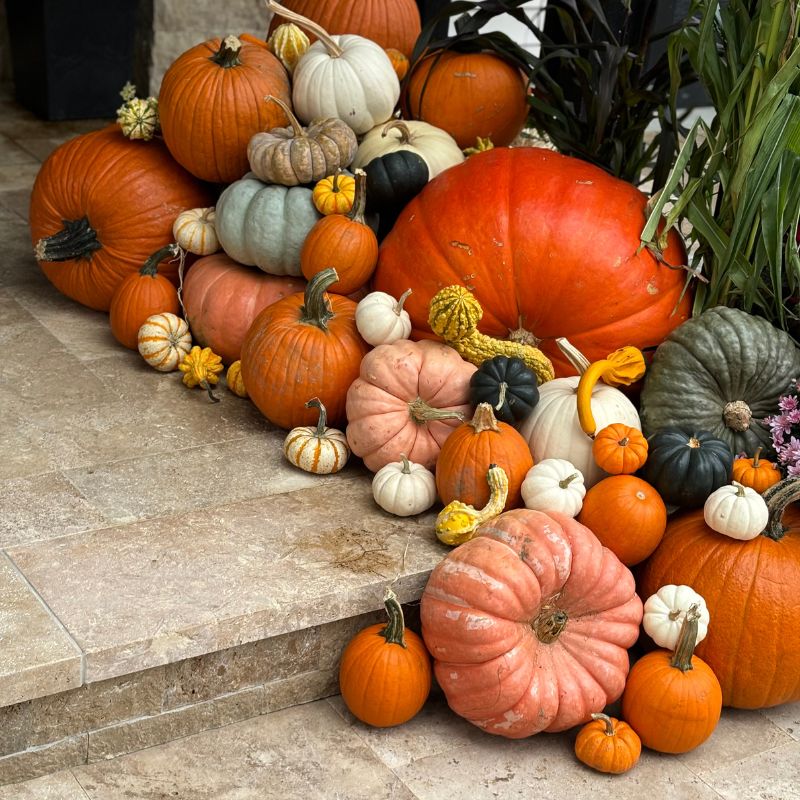 The Grand Harvest | Front Porch Flora