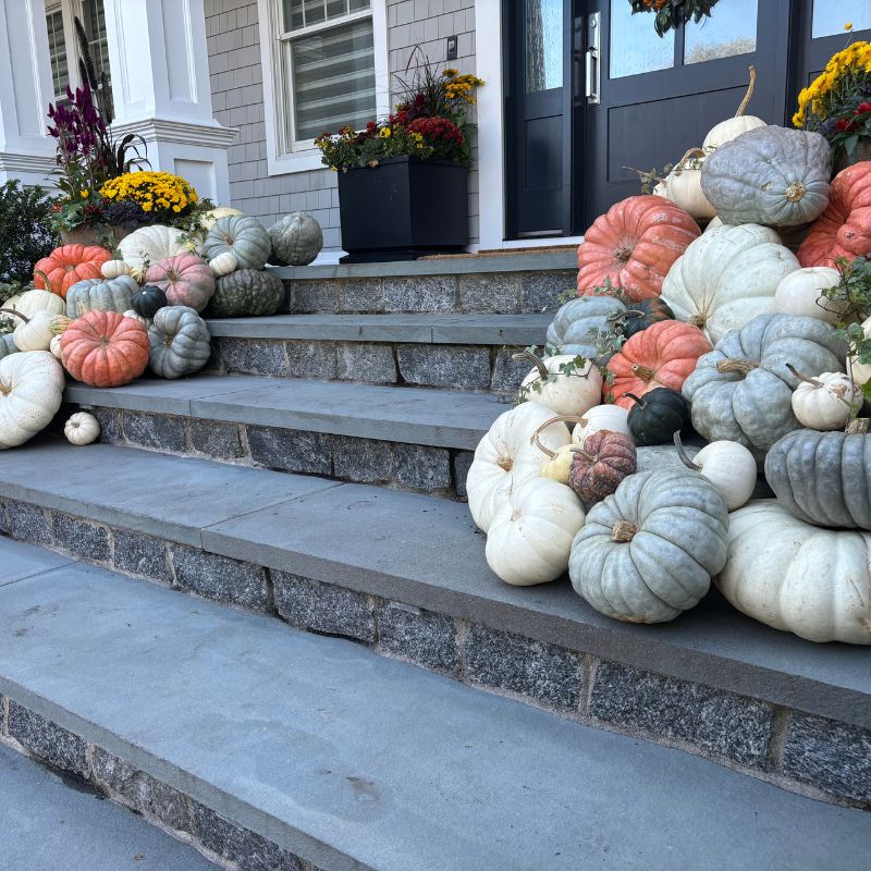 The Muted & Moody | Front Porch Flora