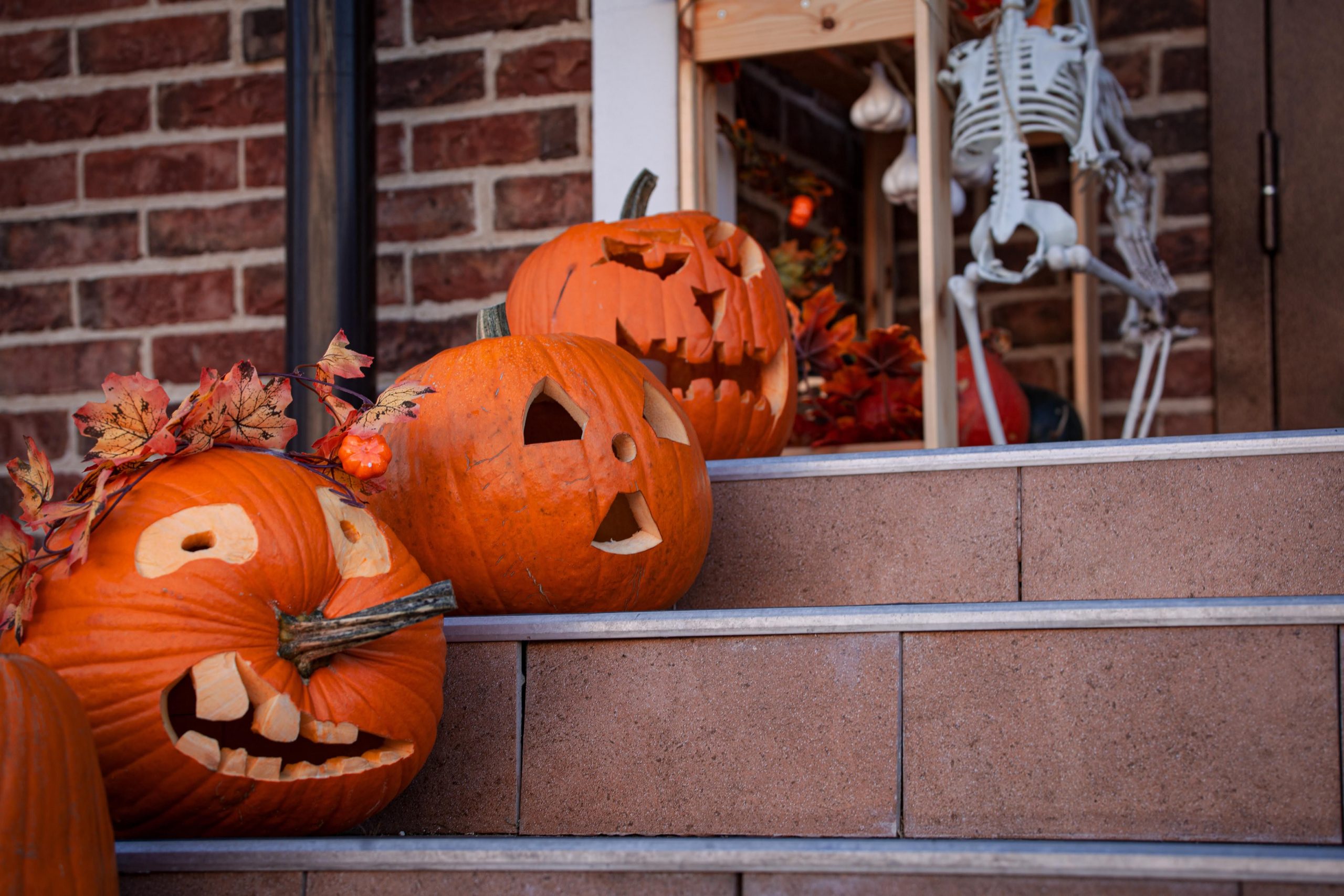 Three carved pumpkins on outdoor steps with a skeleton for Halloween decor.