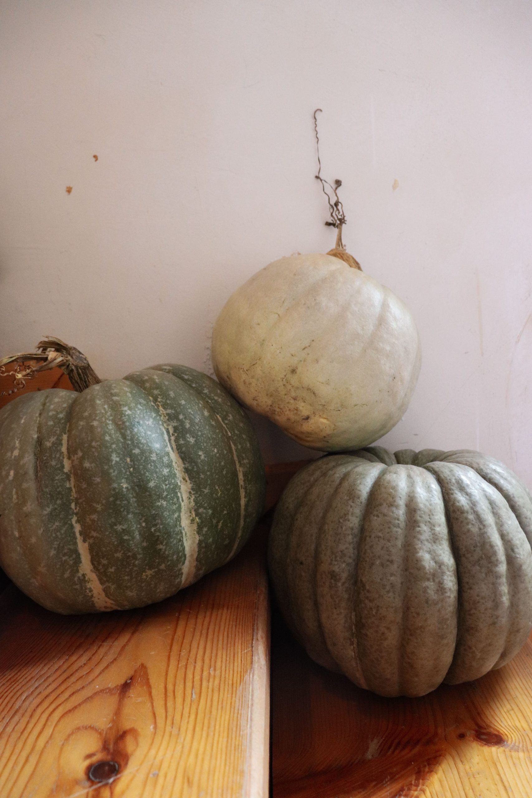 Three rustic pumpkins arranged on a wooden surface, capturing an earthy autumn vibe.