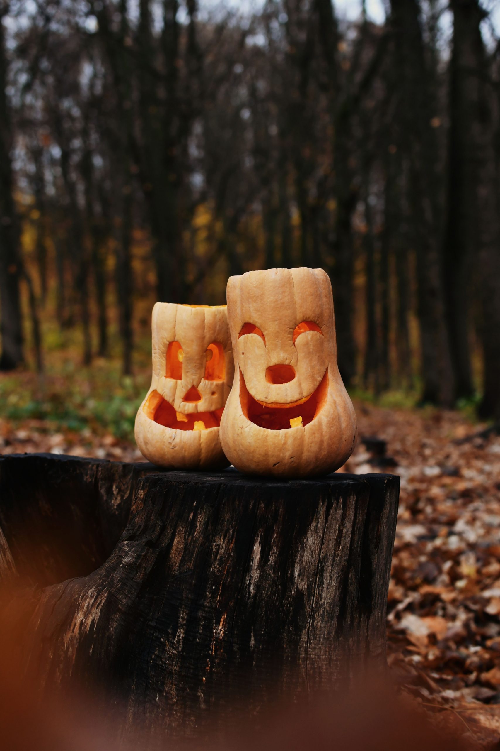 Two carved pumpkins with smiling faces sit on a tree stump in a forest during autumn.
