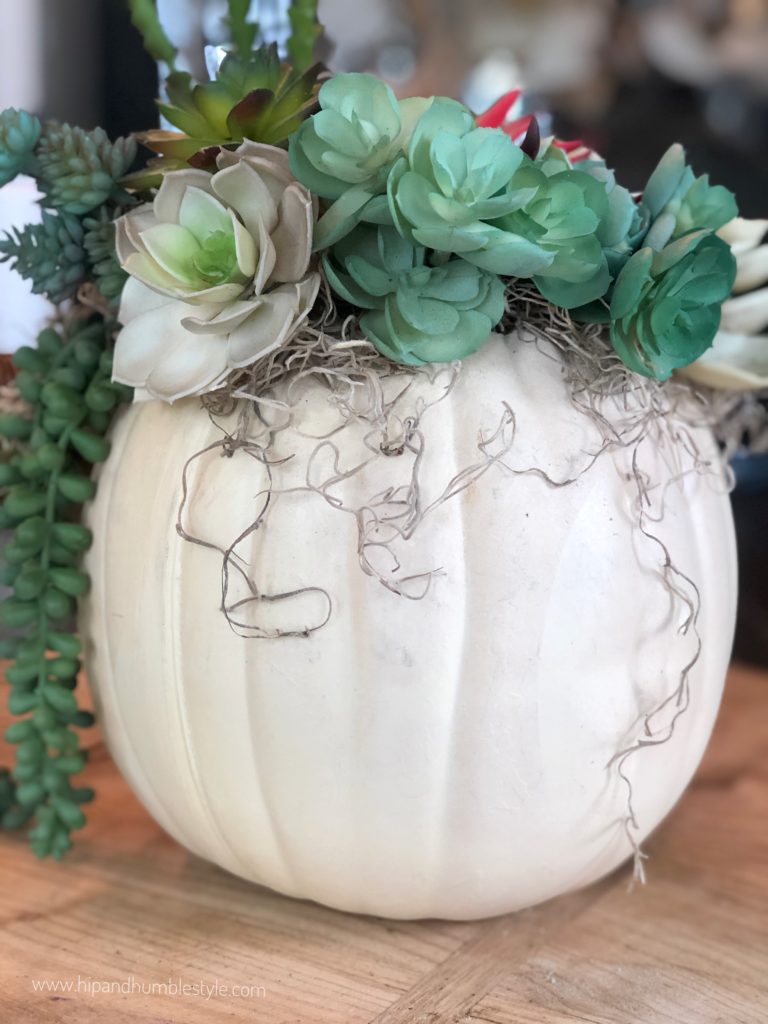 Unique Fall Centerpiece | Pumpkin Succulent Centerpiece