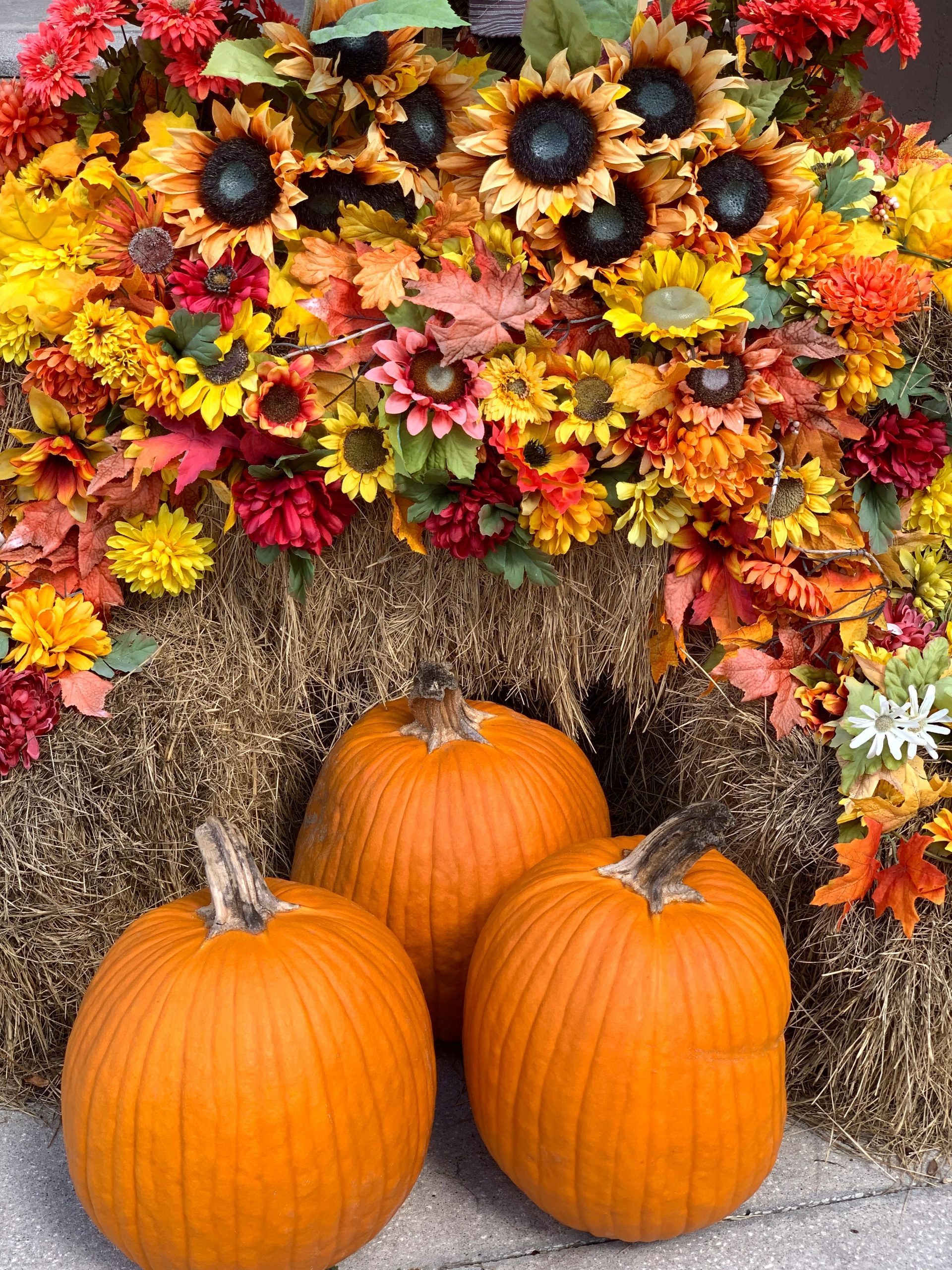 Vibrant fall display featuring orange pumpkins and a bouquet of autumn flowers.