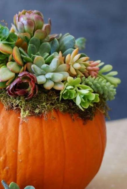 Vibrant Pumpkin Vases with Flower Arrangements, Thanksgiving Table Centerpiece ideas