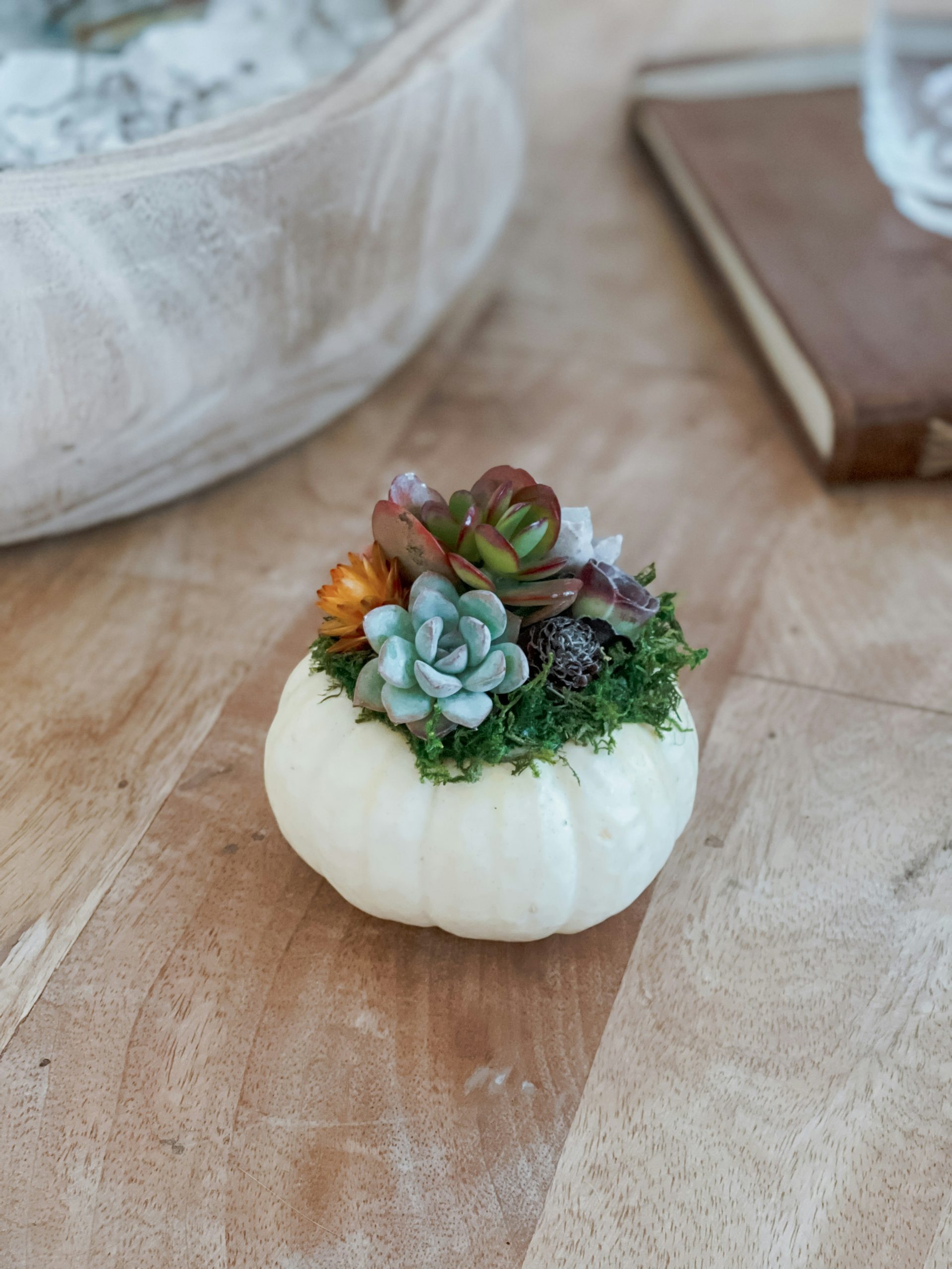 White pumpkin planter with succulents and moss