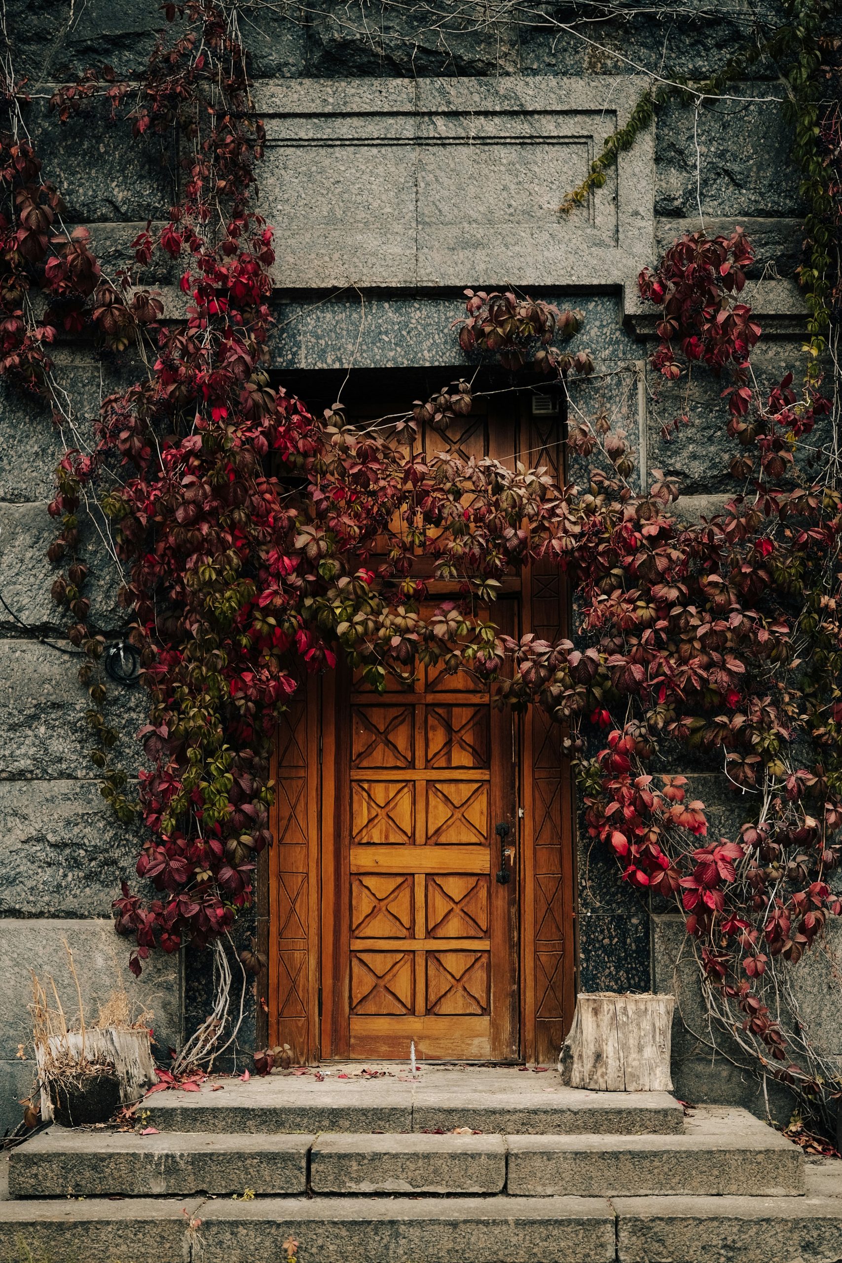 Wooden door surrounded by autumn vines on stone building