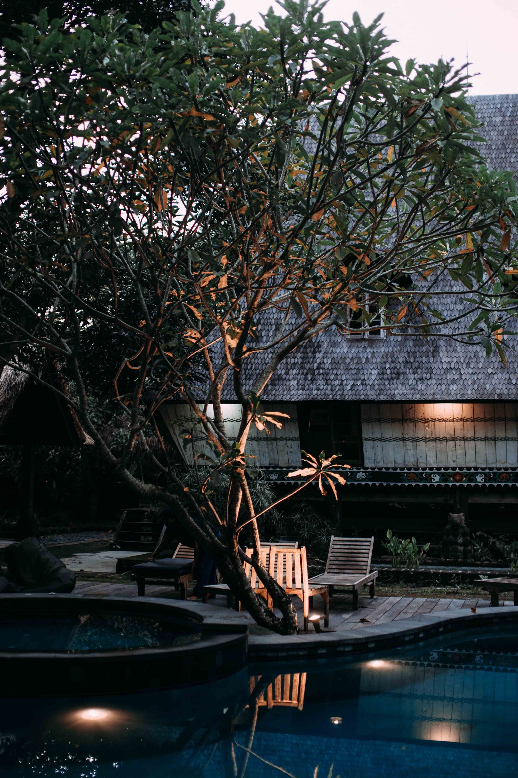 A serene backyard at dusk with a swimming pool, lounge chairs, and lush foliage.