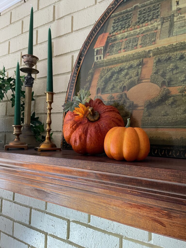 Autumn Entrance ideas | Lisa Earthgirl - Gardening Tips and Helpful Advice