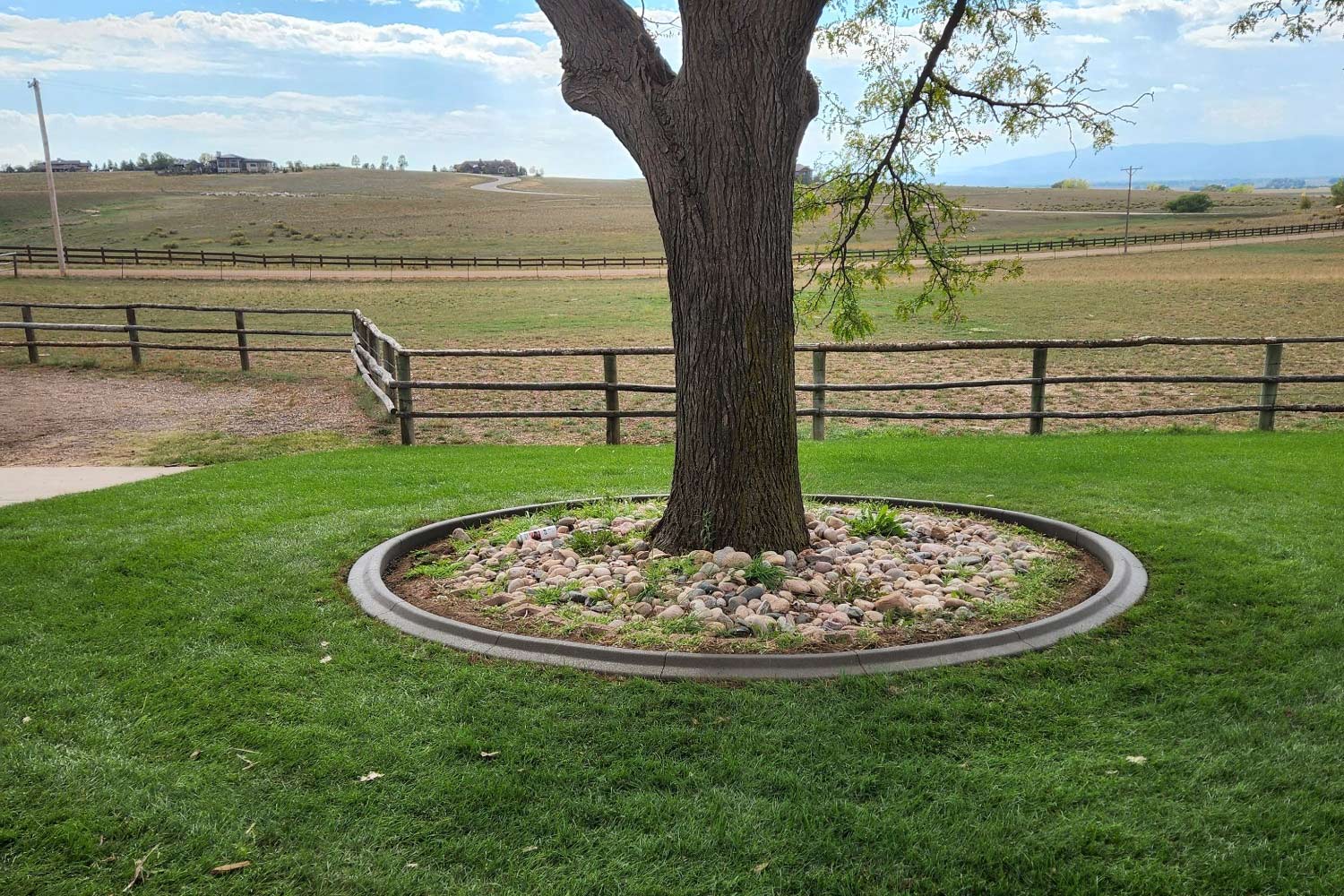 Best Concrete Landscape Curbing & Edging | Northern Colorado