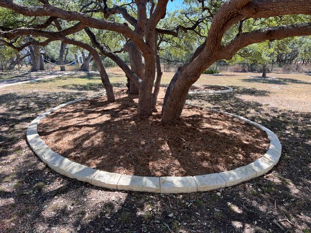 Is Concrete Curb Landscape Edging Worth It in Texas?