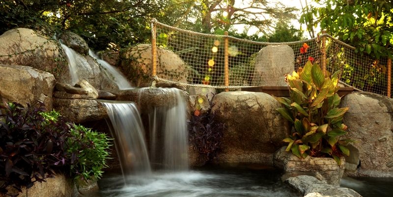 Swimming Pool Grottos, Swim-Up Bars - Landscaping Network
