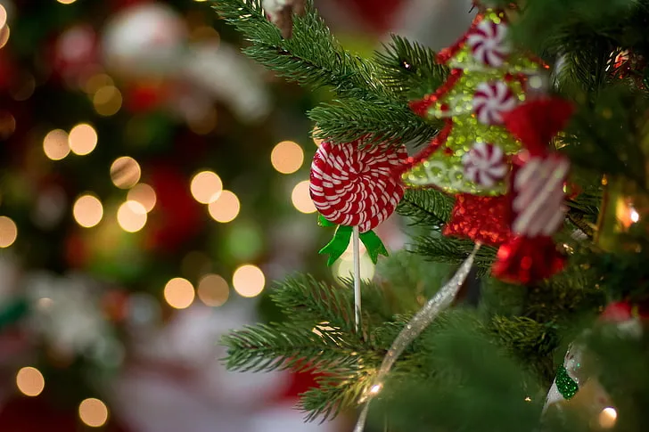 1280x720px | free download | HD wallpaper: red and white lollipop, holiday, New Year, Christmas, christmas tree | WallpaperFlare