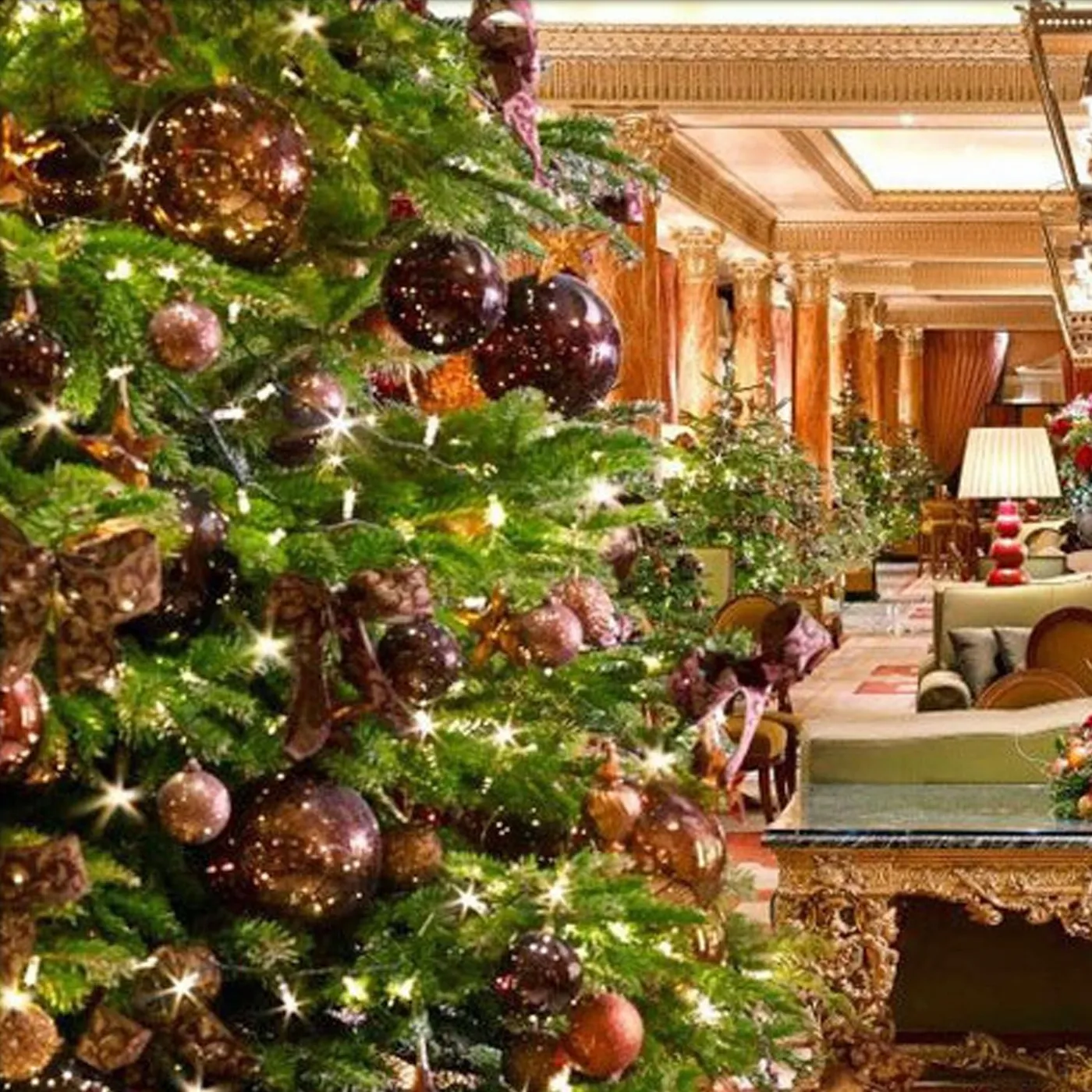 12ft+ Real Decorated Christmas Tree (10 Colour Schemes): Standard Decorations: Red + Gold - 12DSDRGS - Deliver me a Christmas tree - Deliver Me a Christmas Tree