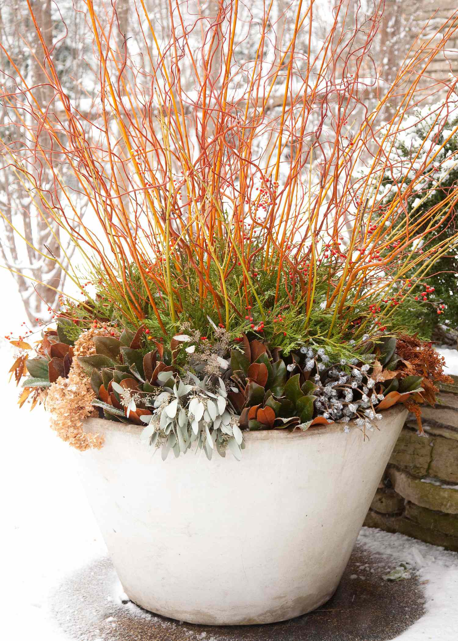 14 Cheerful Winter Container Gardens