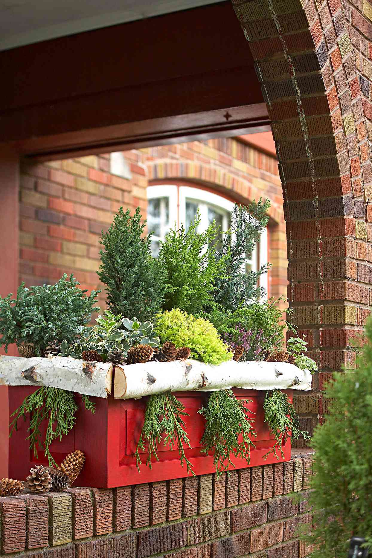 14 Winter Planter Ideas for Holiday Cheer
