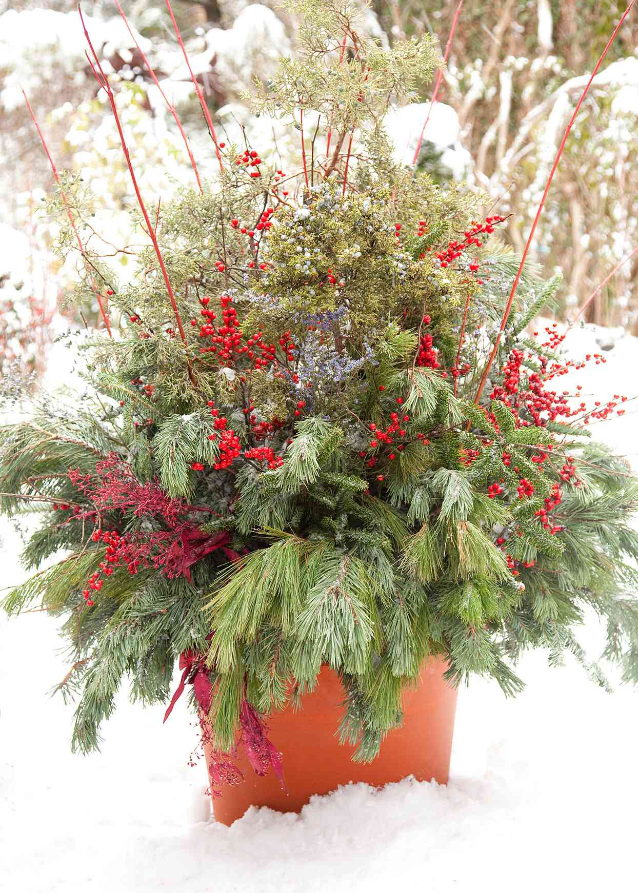 14 Winter Planter Ideas for Holiday Cheer